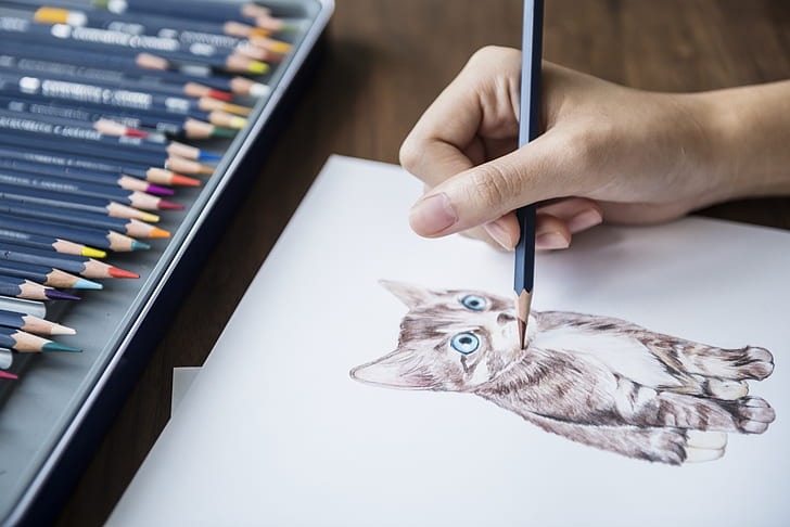 Colorful Creations: Mastering Colored Pencils 11 Drawing of a cat