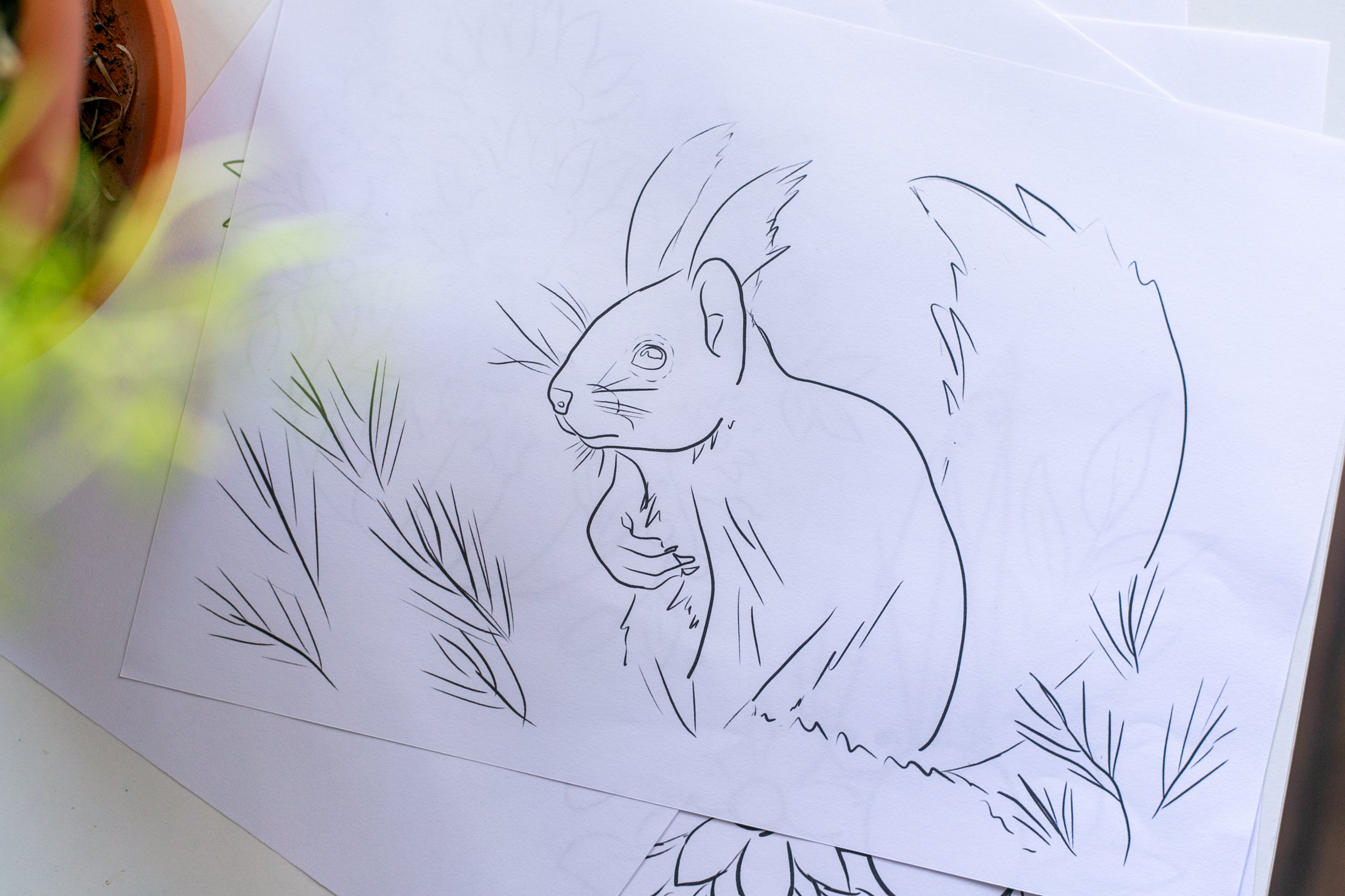 Credit: Photo by Anna Krupa