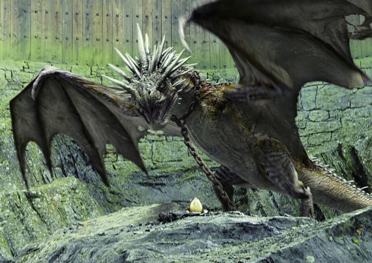 Hungarian Horntail Harry Potter
