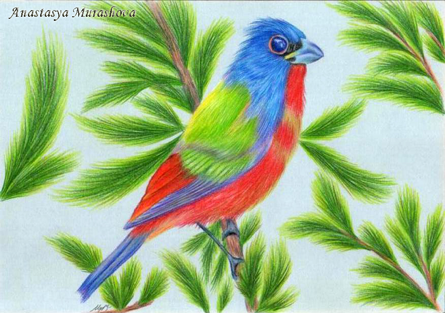 Colorful Creations: Mastering Colored Pencils 7 Credit: Anastasya-Murashova on DeviantArt