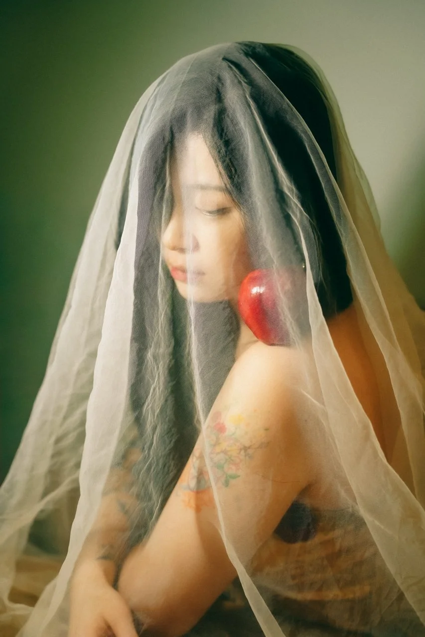 Zhu_Veil_4.jpg