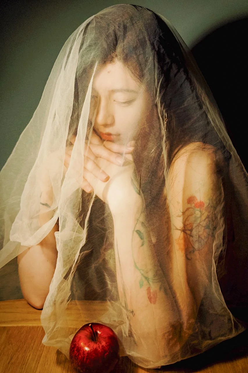 Zhu_Veil_1.jpg