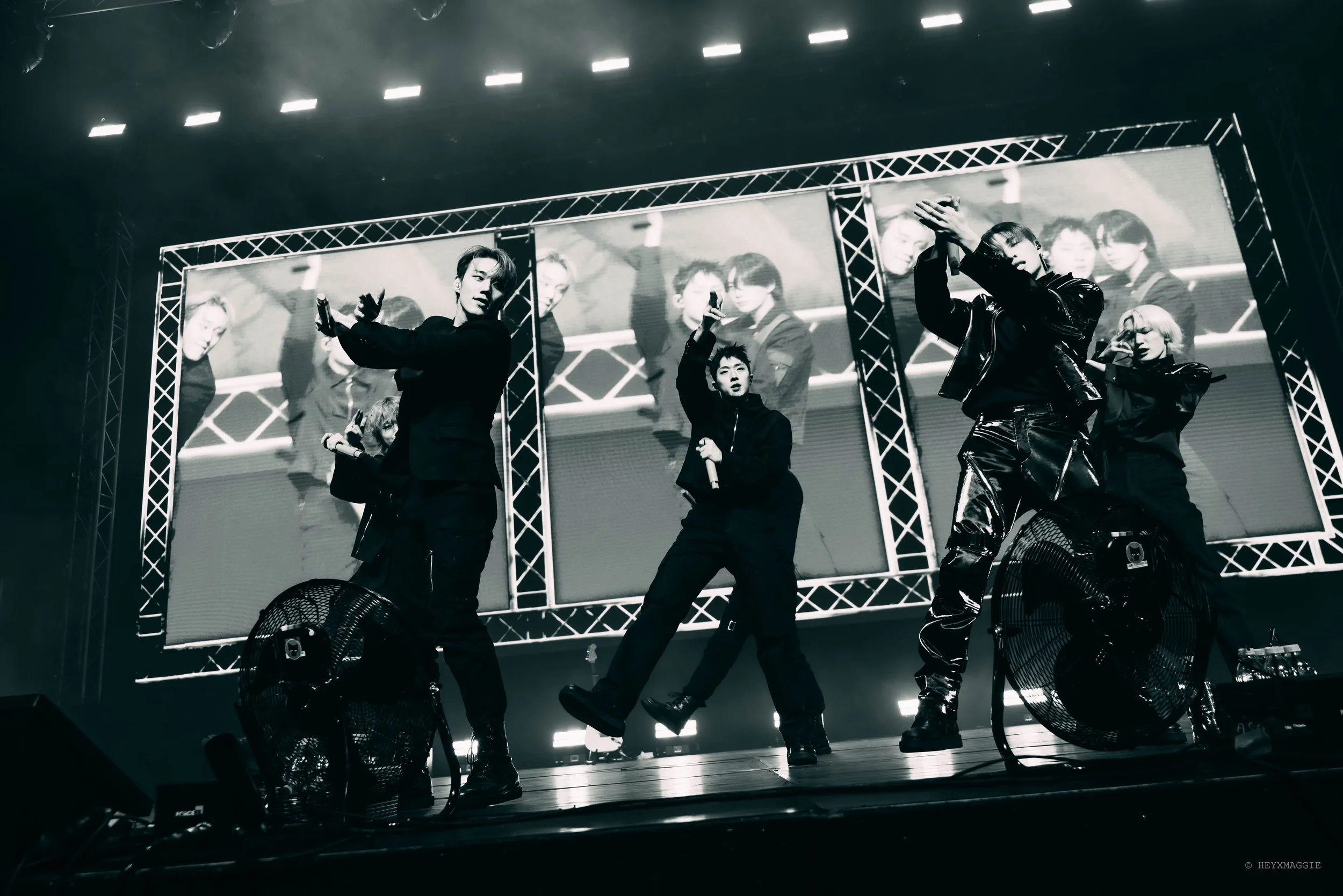 1.13 P1Harmony_23.jpg