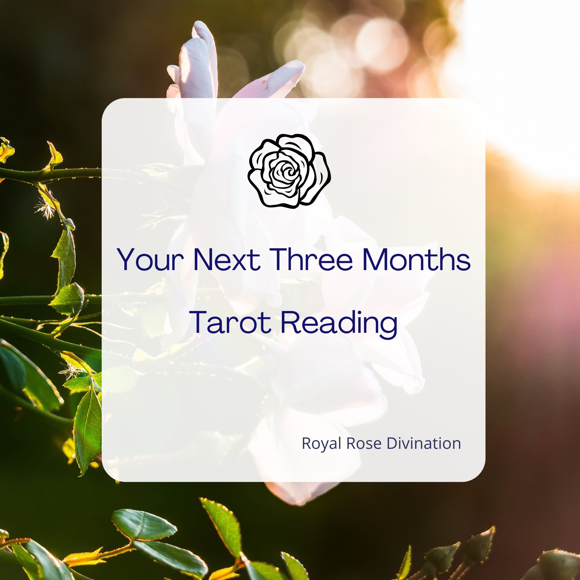 Your Next Three Months Reading