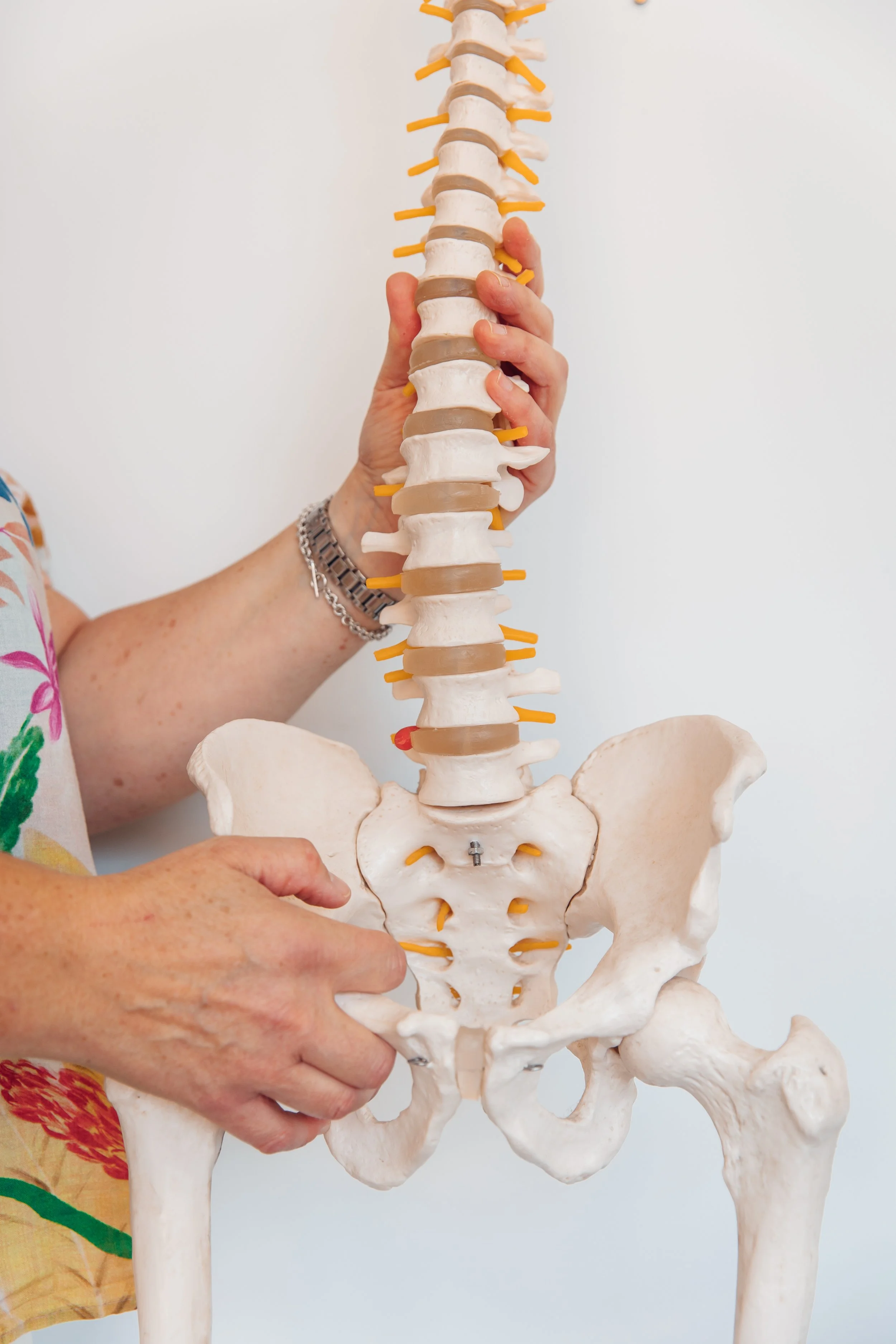 chiropractic treatment ringwood Hampshire