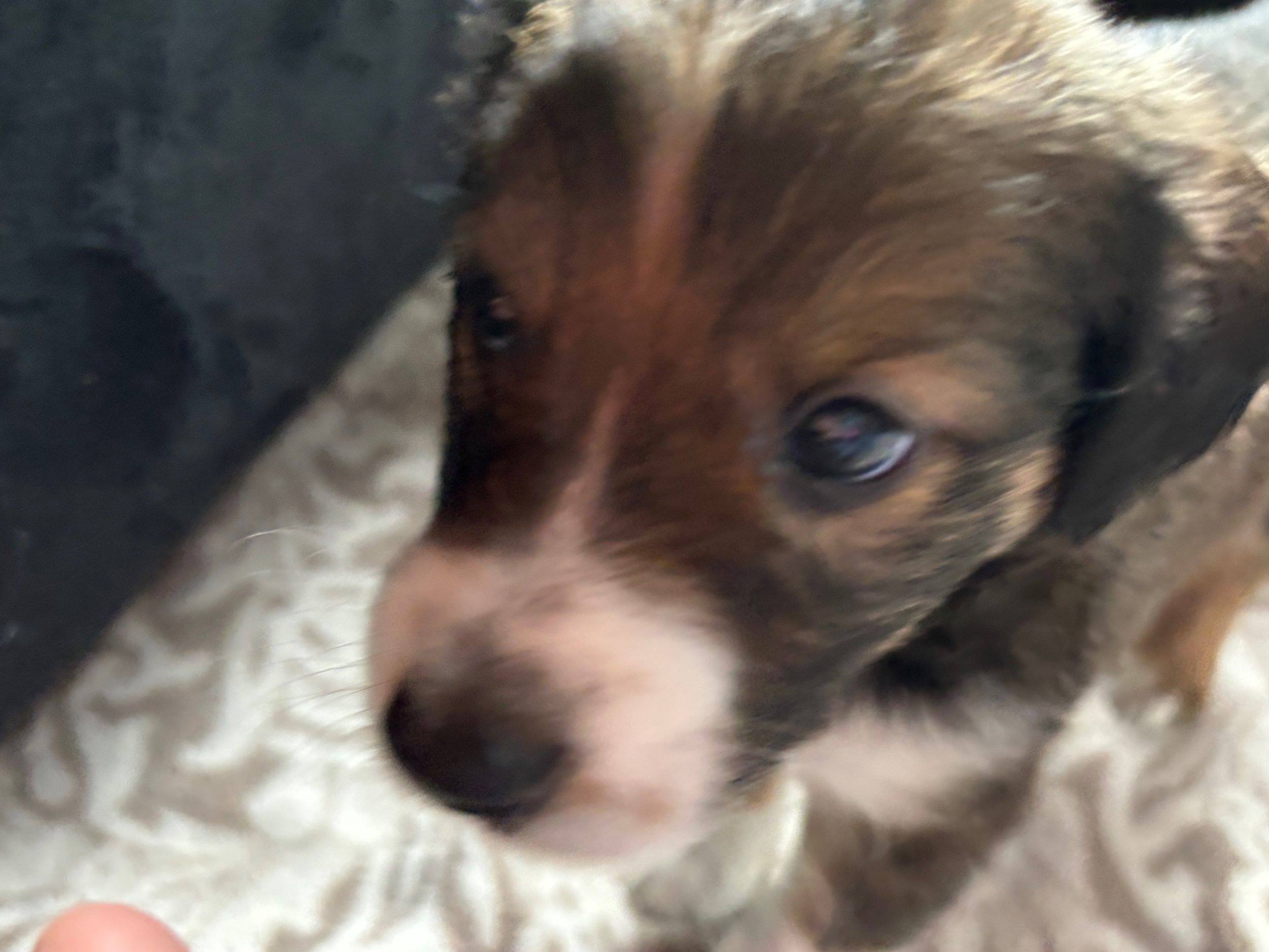IMG_6207.jpeg