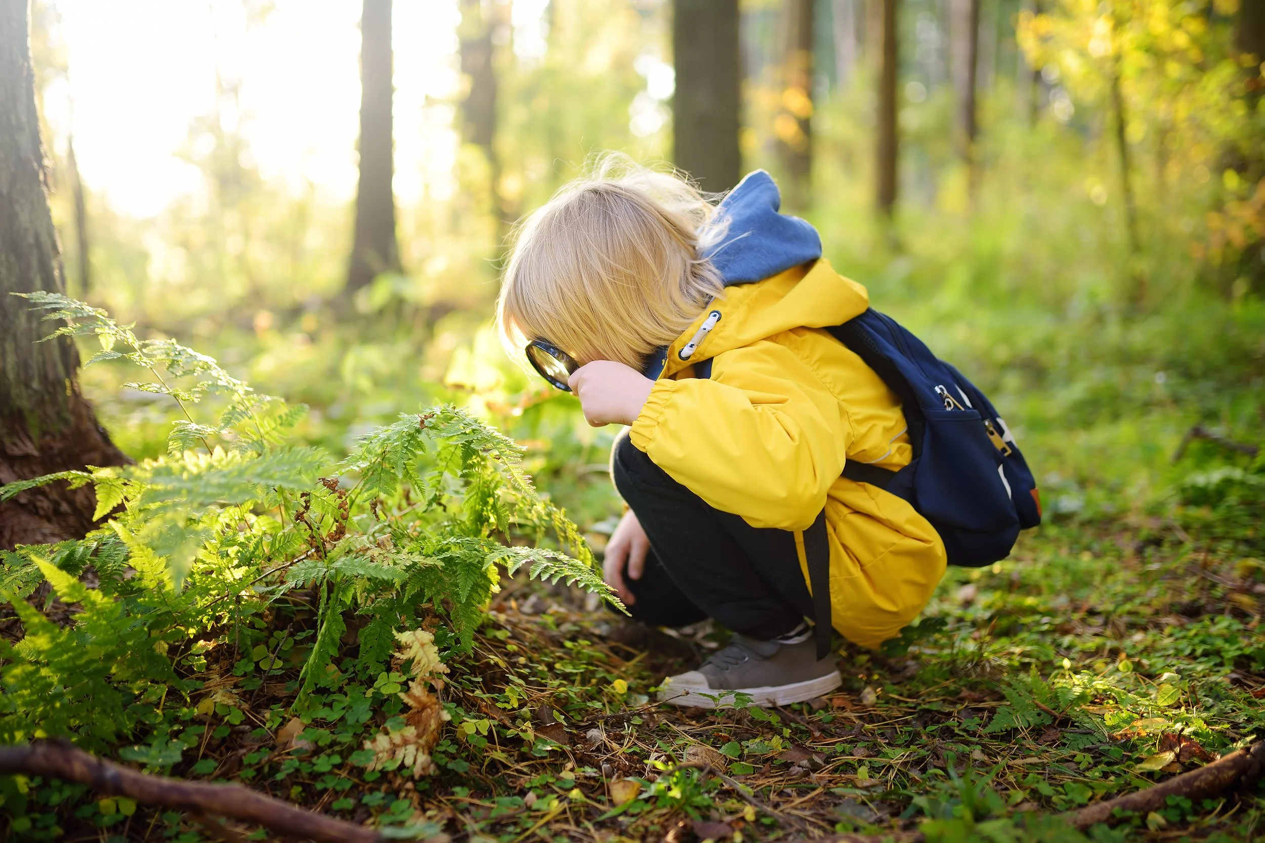The Art of Wonder: Kids &amp; Families Edition Forest Bathing at Bedrock Gardens, Lee NH 