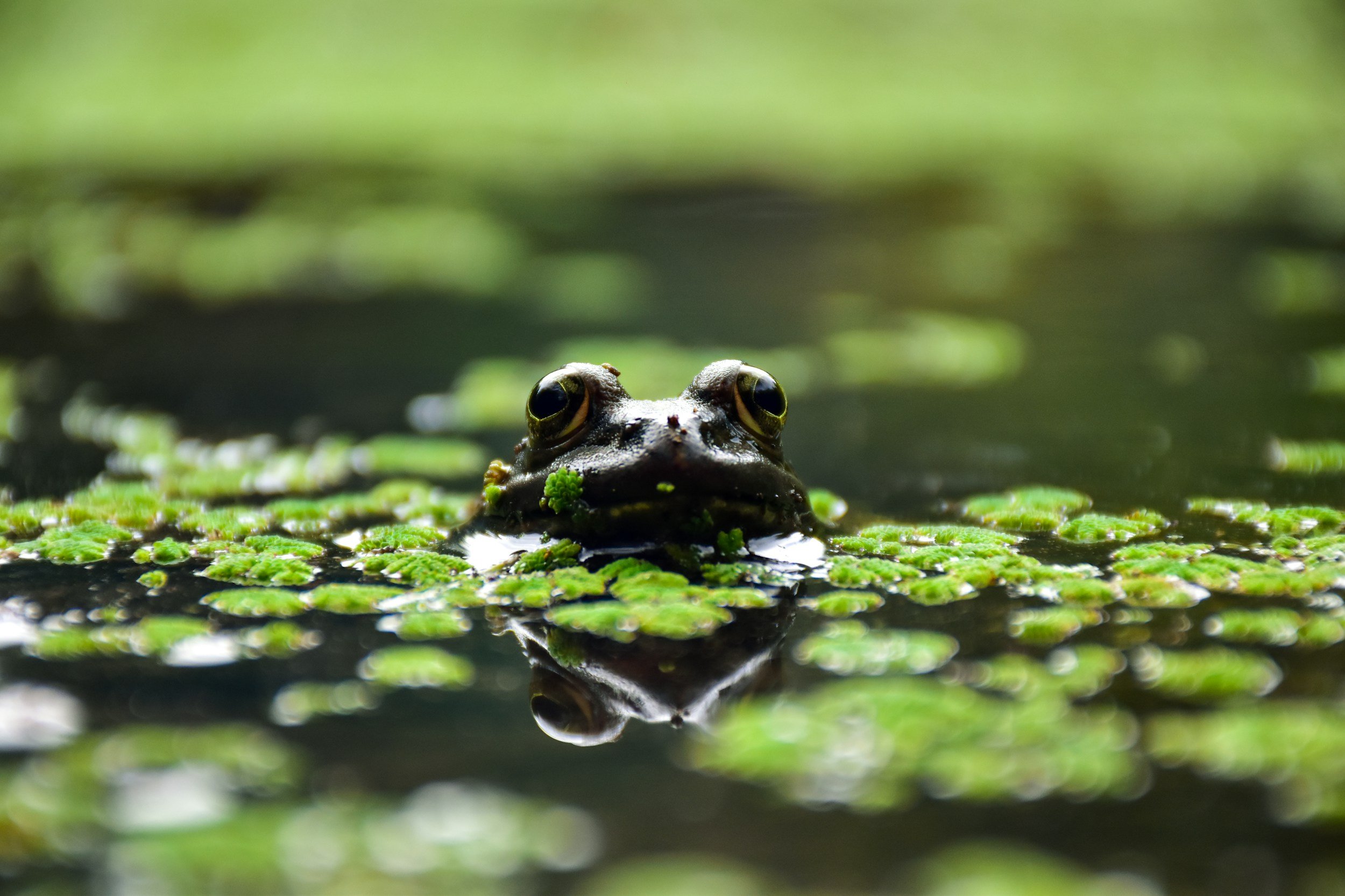 unsplash-image--d_FuOjSDSw.jpg