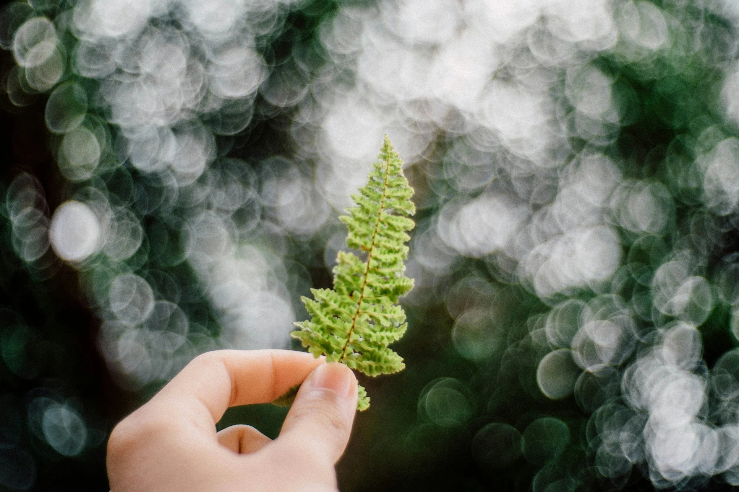 unsplash-image-oHDQ_bWiQ3o.jpg