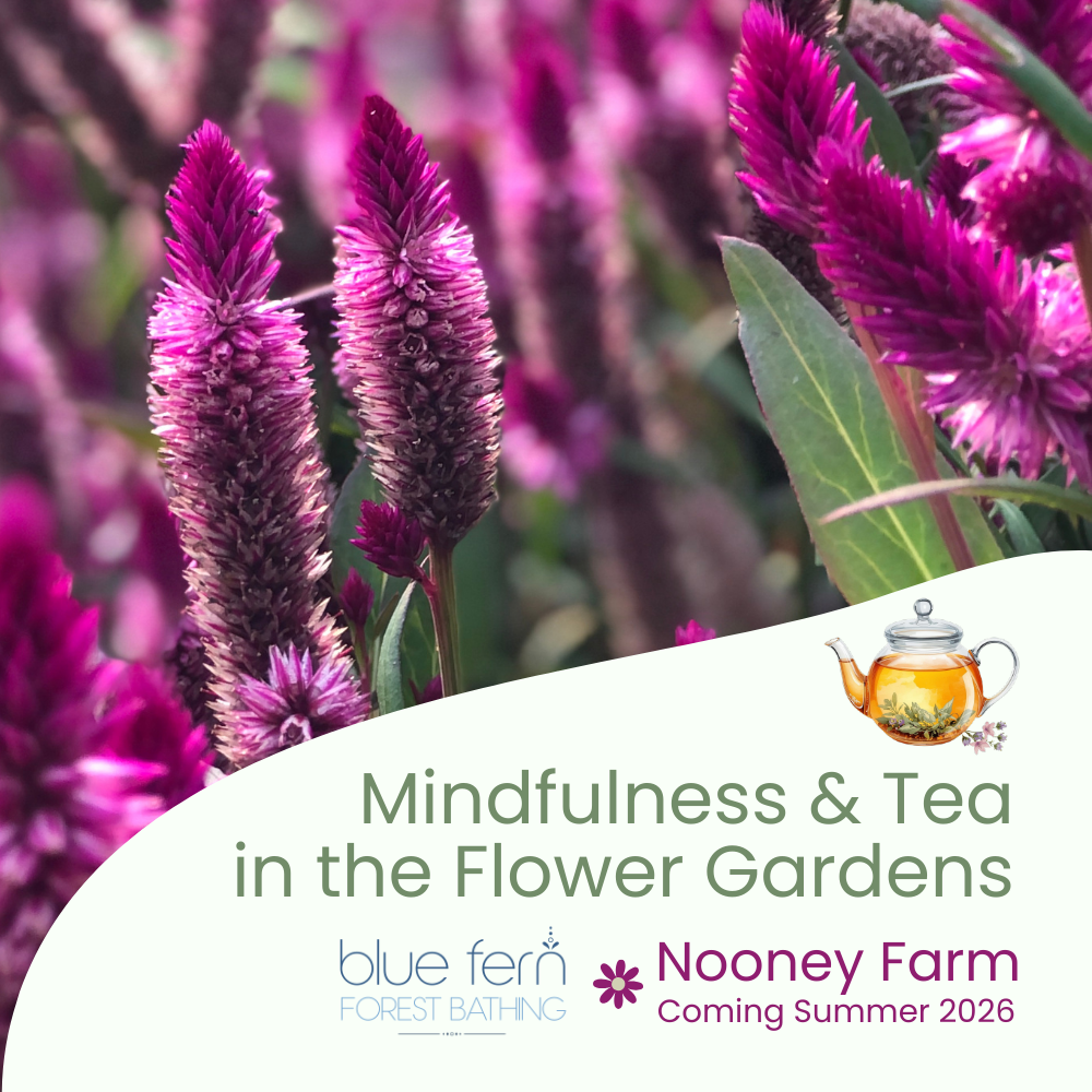 Mindfulness & Tea in the Flower Gardens