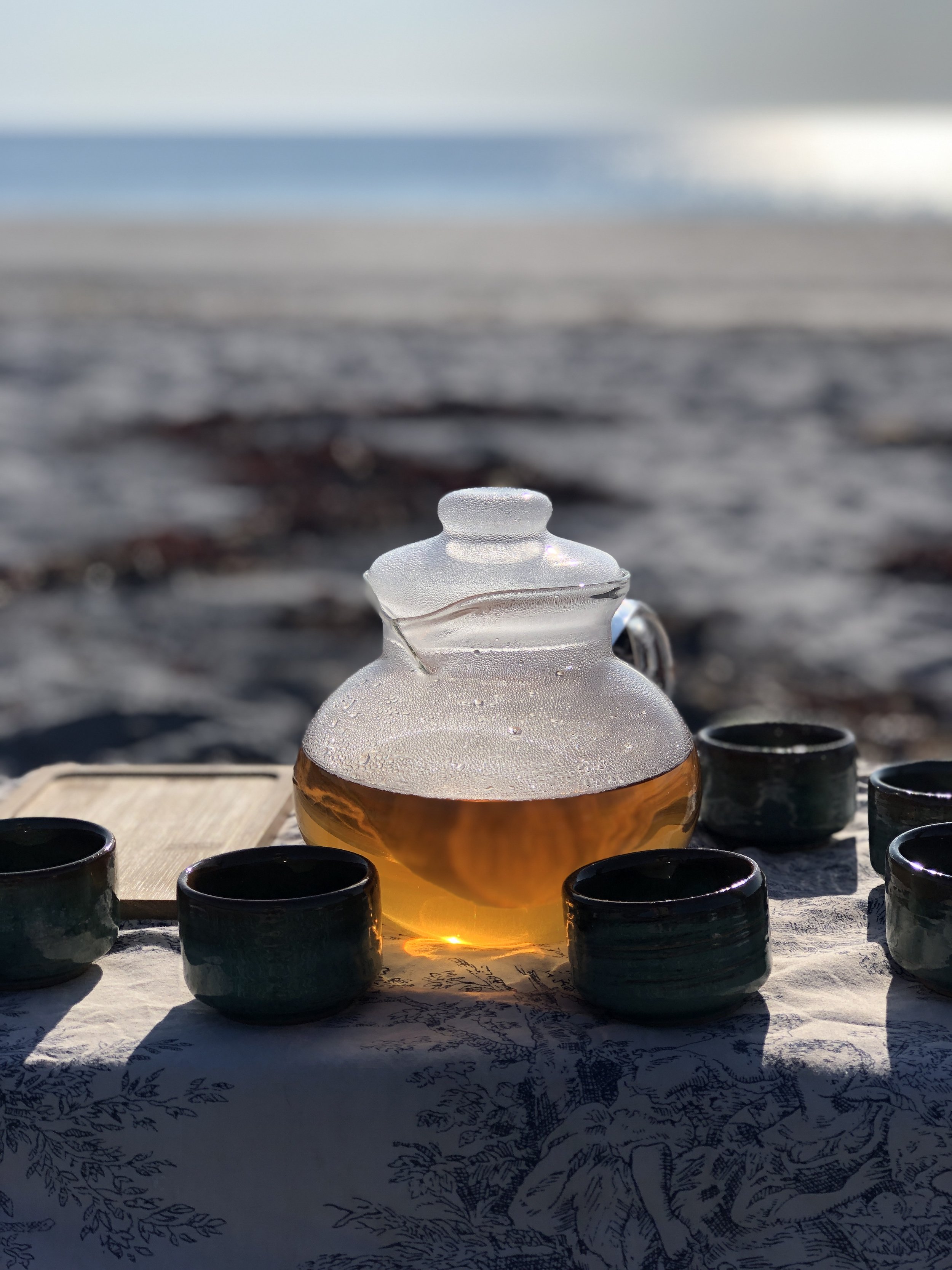 Tea by the Sea: A Mindfulness Walk & Tea Gathering at Seapoint Beach Headlands