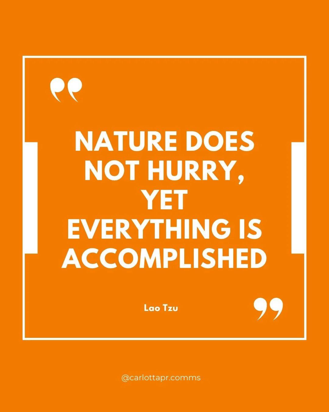 A gentle reminder that growth doesn&rsquo;t have to be rushed. Things unfold in their own perfect rhythm - just like seasons, tides, and healing. Slow down. Trust the process.

#autumn
