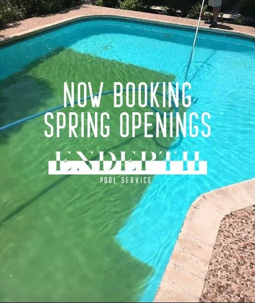 🌷🏊&zwj;♂️ Dive into Spring with a splash! 🌸 We're thrilled to announce that we're now booking appointments for spring pool openings for the 2024 season! 🌞 Get your pool ready Derby. Limited slots available, so schedule your spot#bardstown 
#Endep