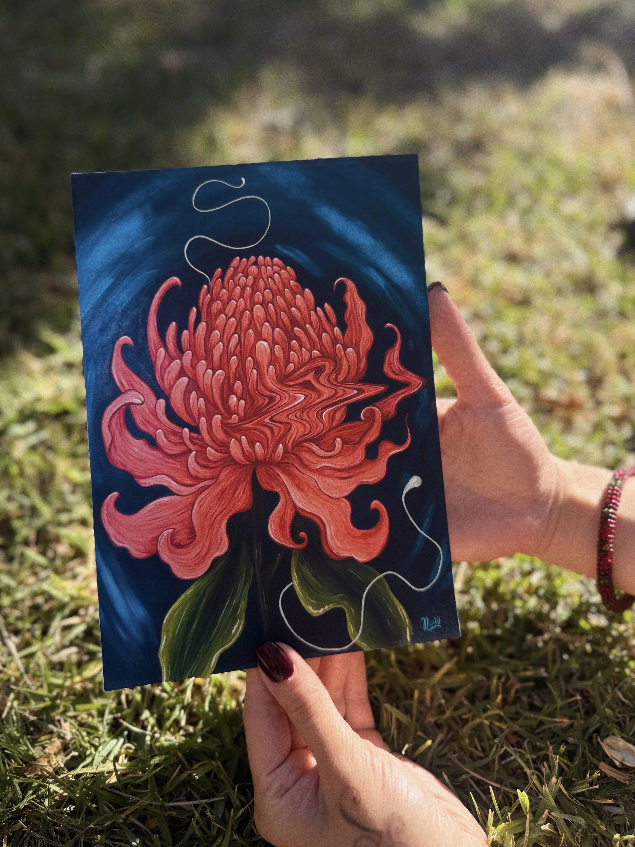 IMG_8128 - cópia.jpg