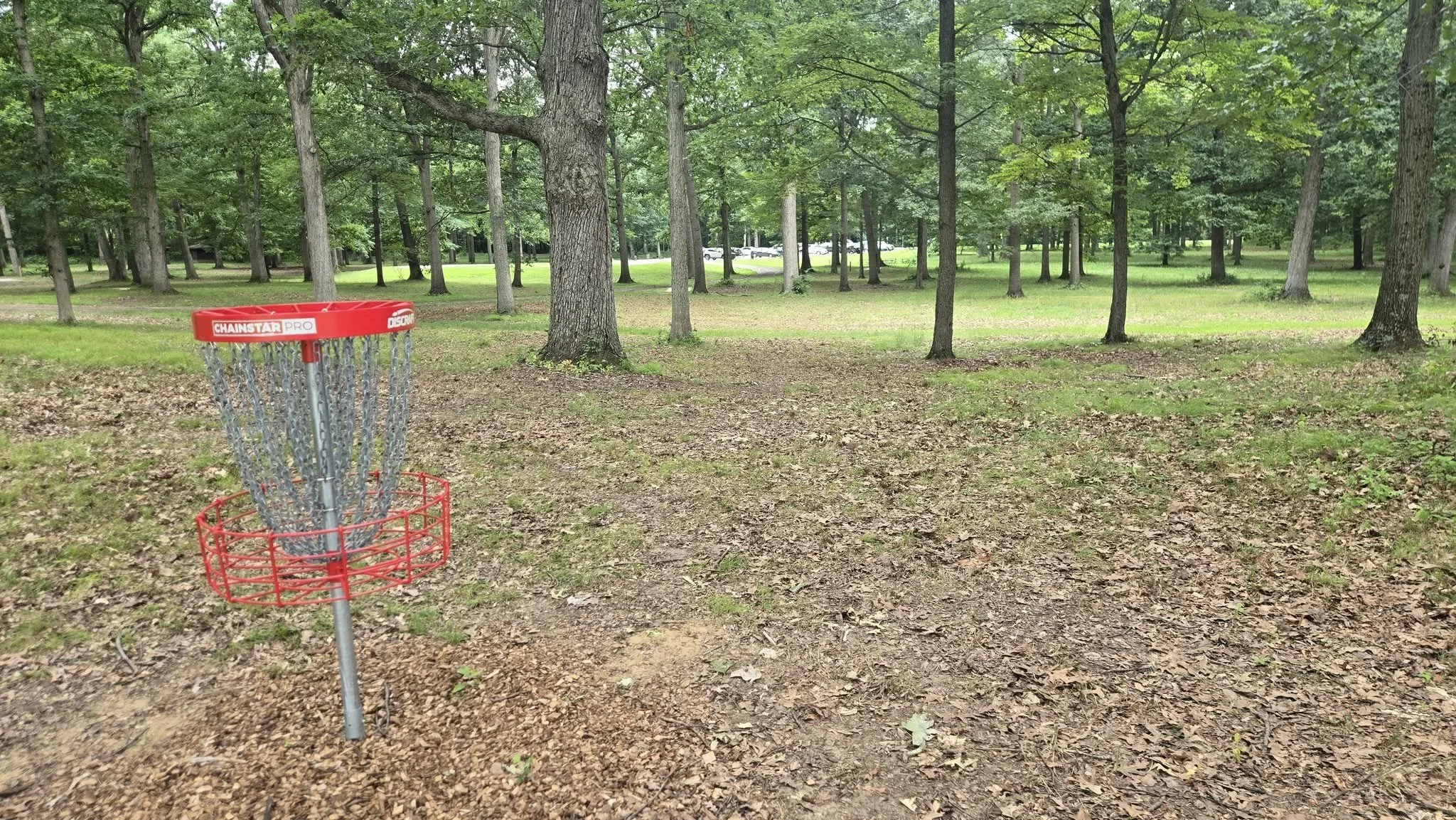 A disc golf basket with a metal pole and chains stands on a grassy, wooded area surrounded by trees.