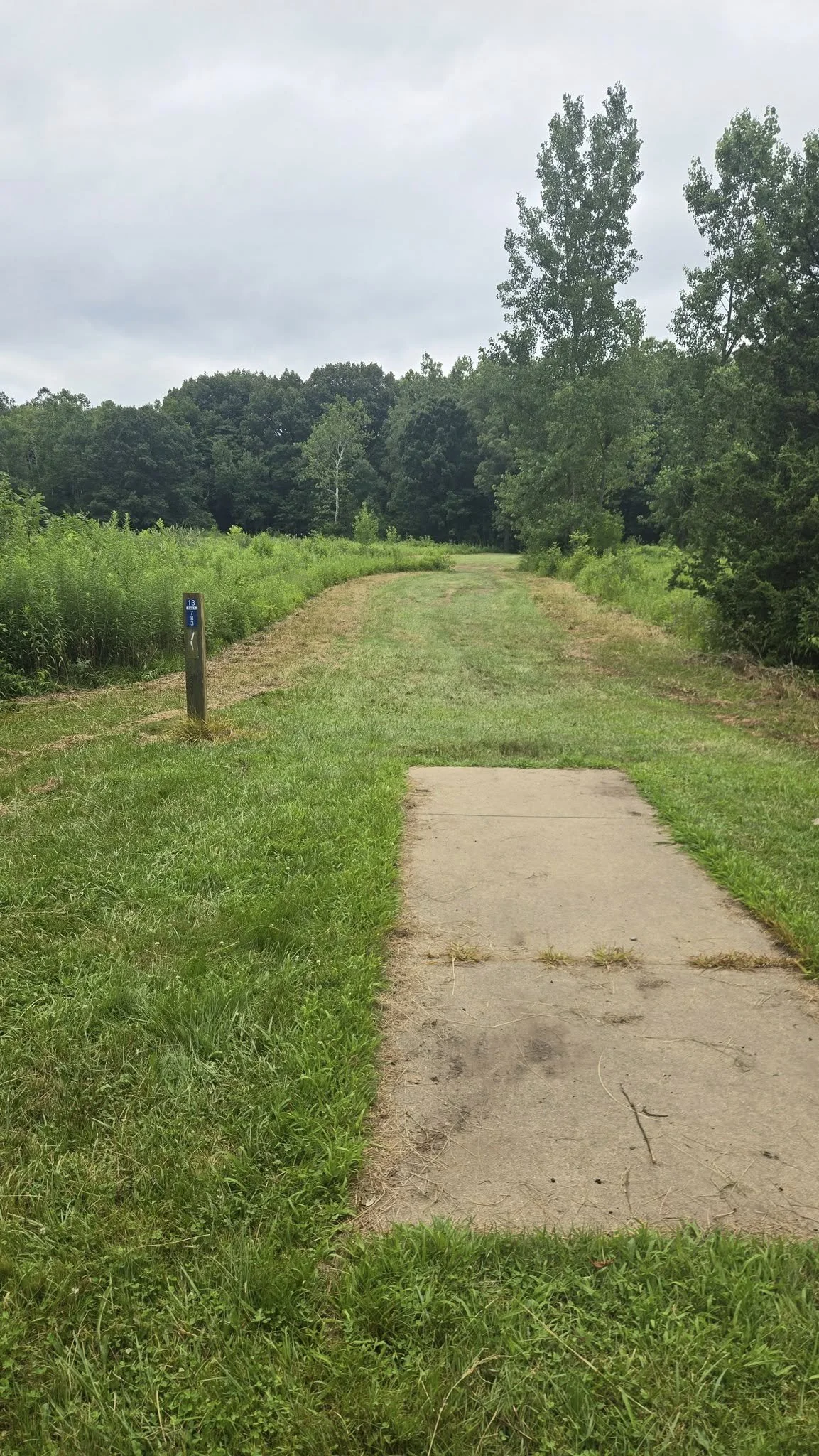 A paved walking trail with grass on either side, surrounded by trees and green foliage, under a cloudy sky.