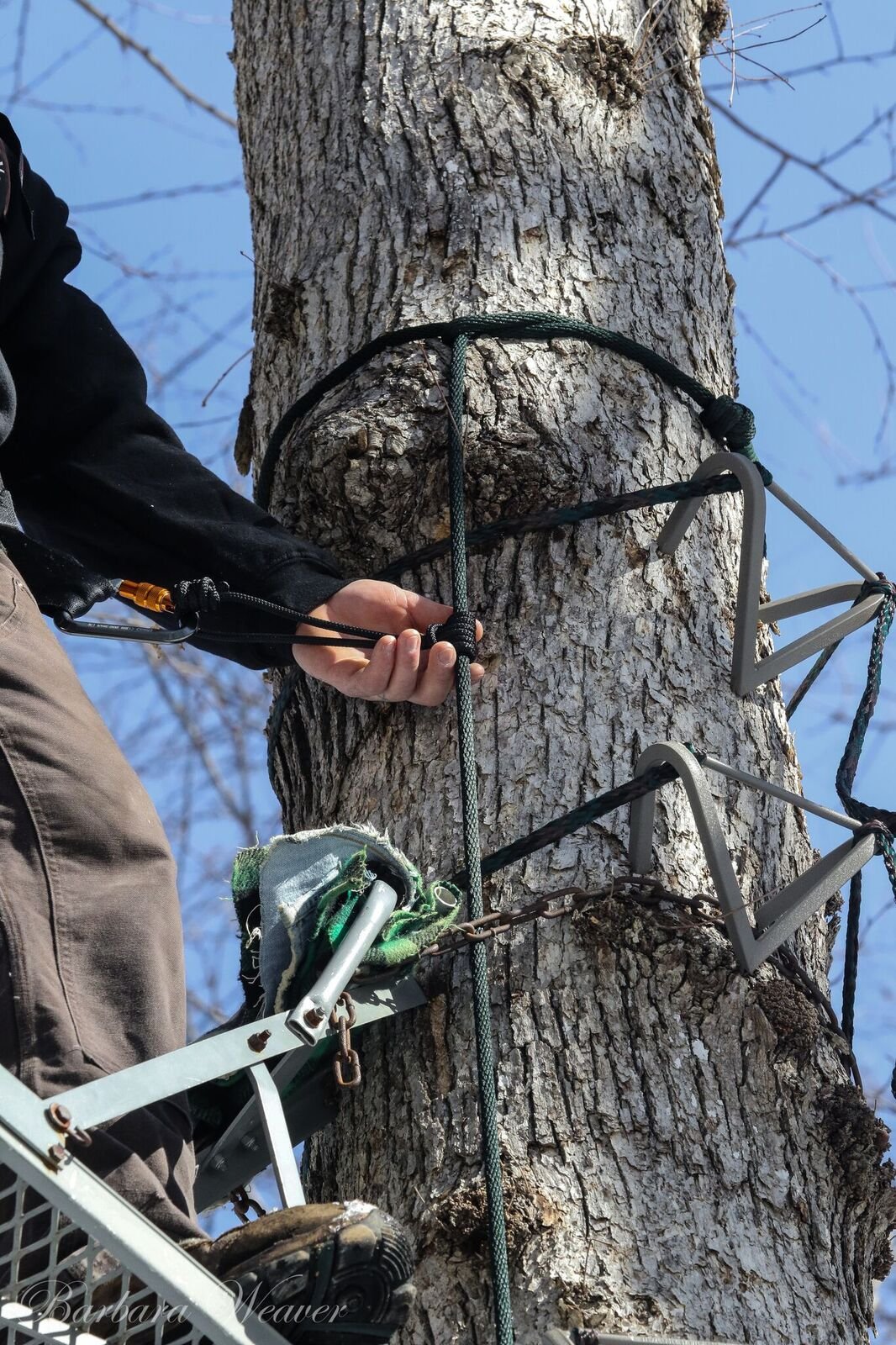Adjusting the Wild Edge Inc. 30 ft. Safety Line and Connector