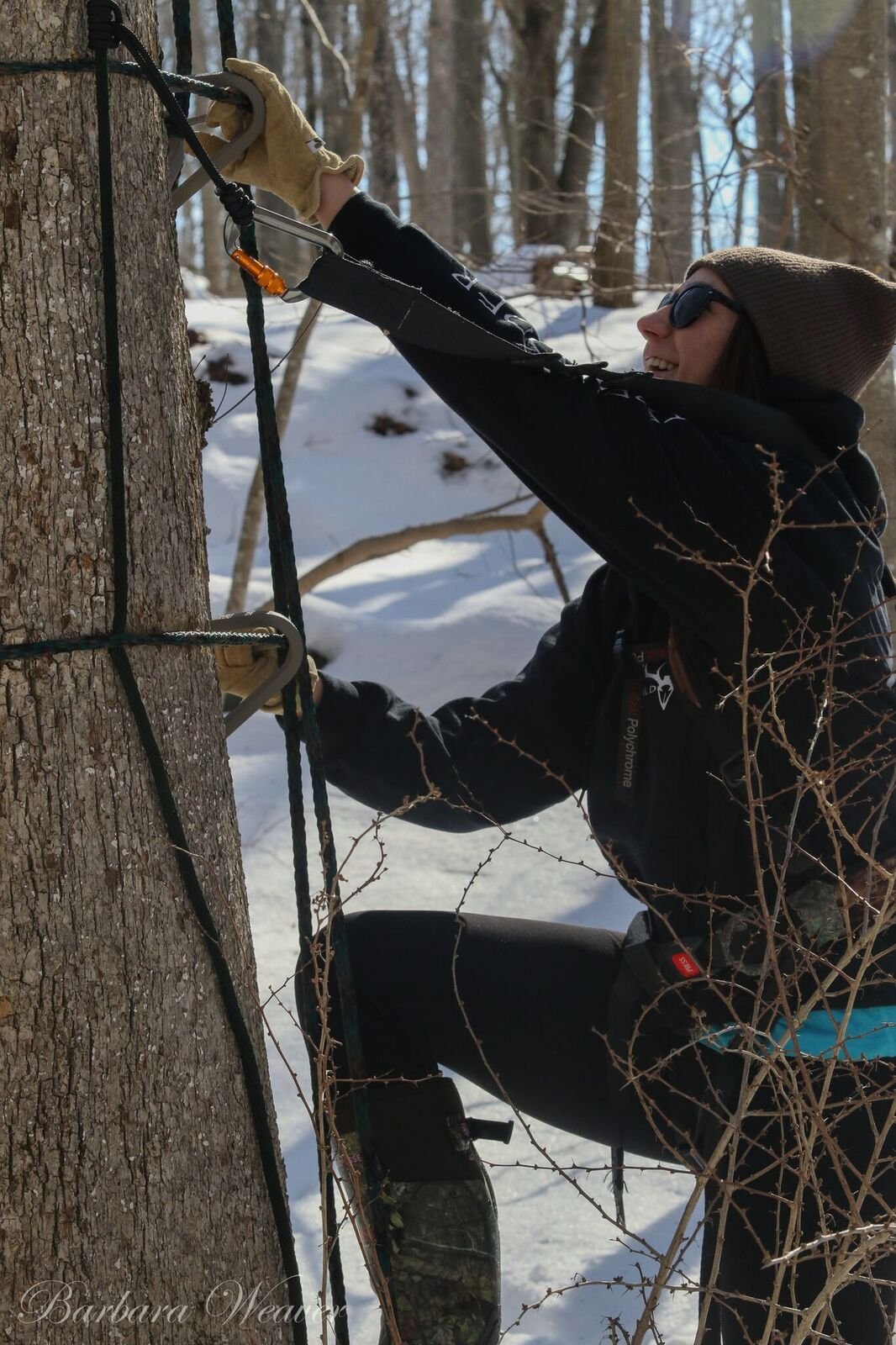 Climbing with the Wild Edge Inc. 30 ft. Safety Line and Connector