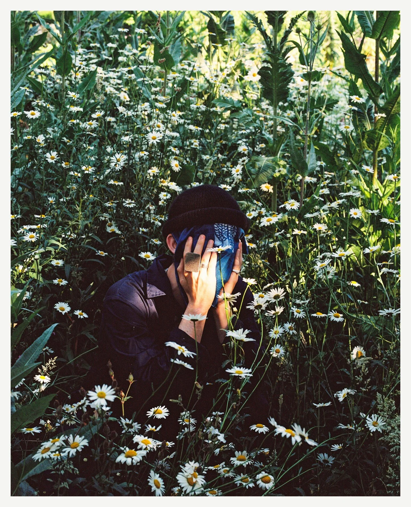 For Cameron. 

The best art is collaborative and multi-disciplinary. If you're a musician, consider the ways photography can elevate the visual component of your work.