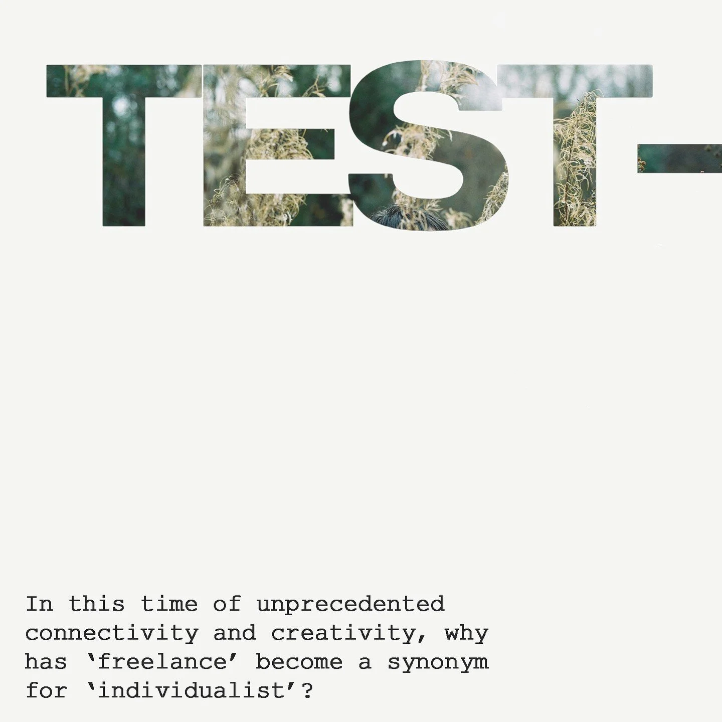 Welcome to Test-Shoots.