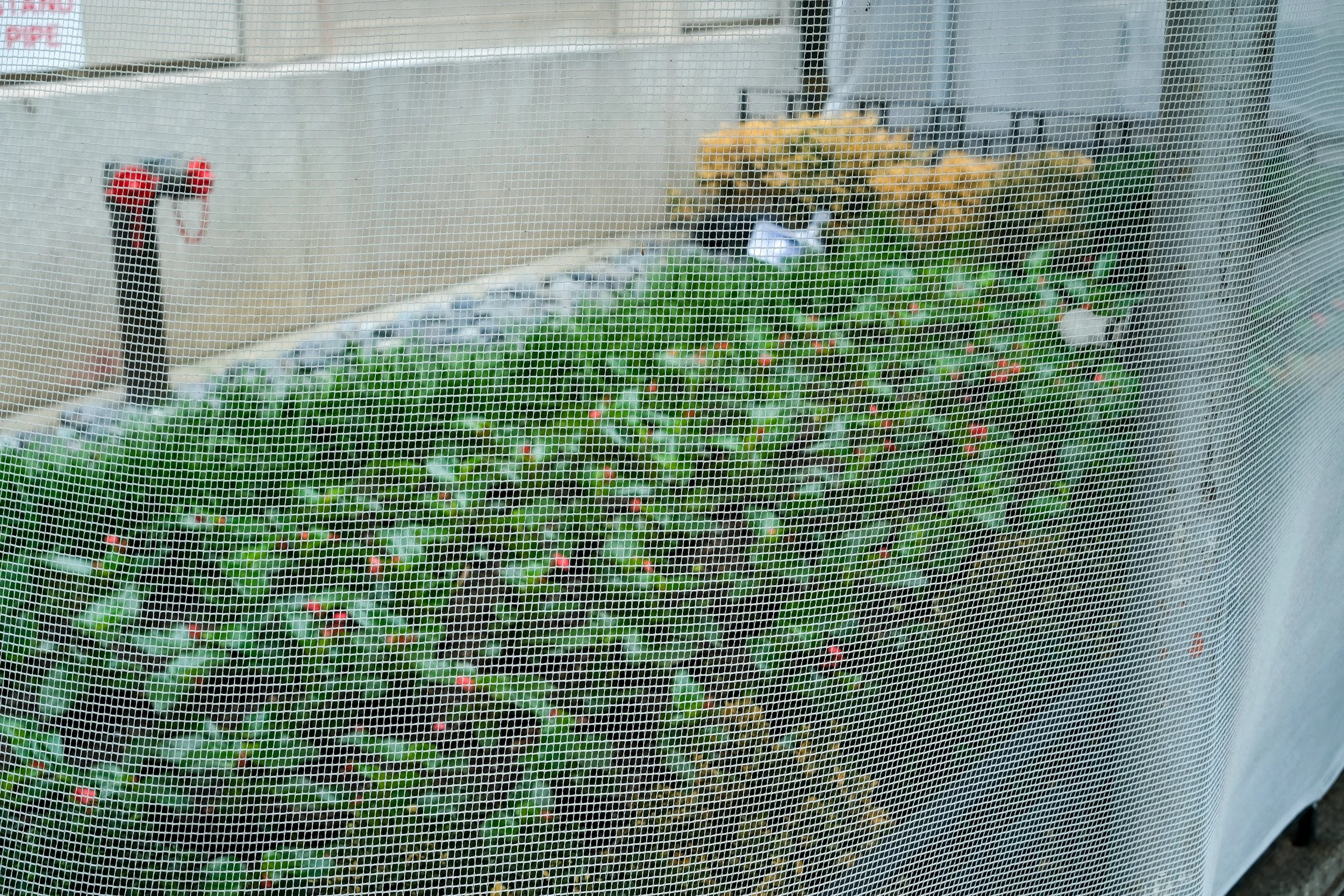 Postcard (21)