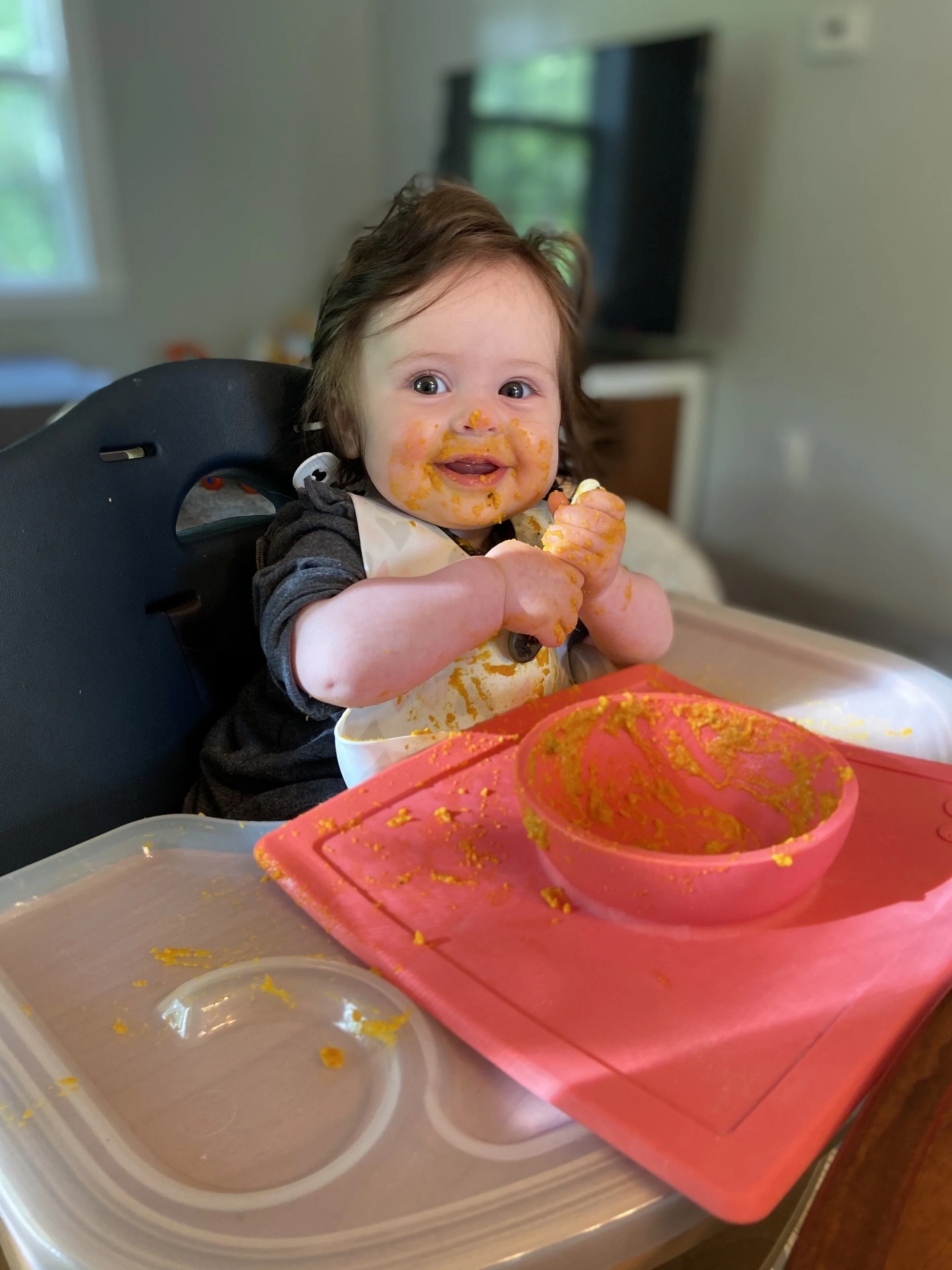 Starting Solids: Where to Start? — The Lemon Grove