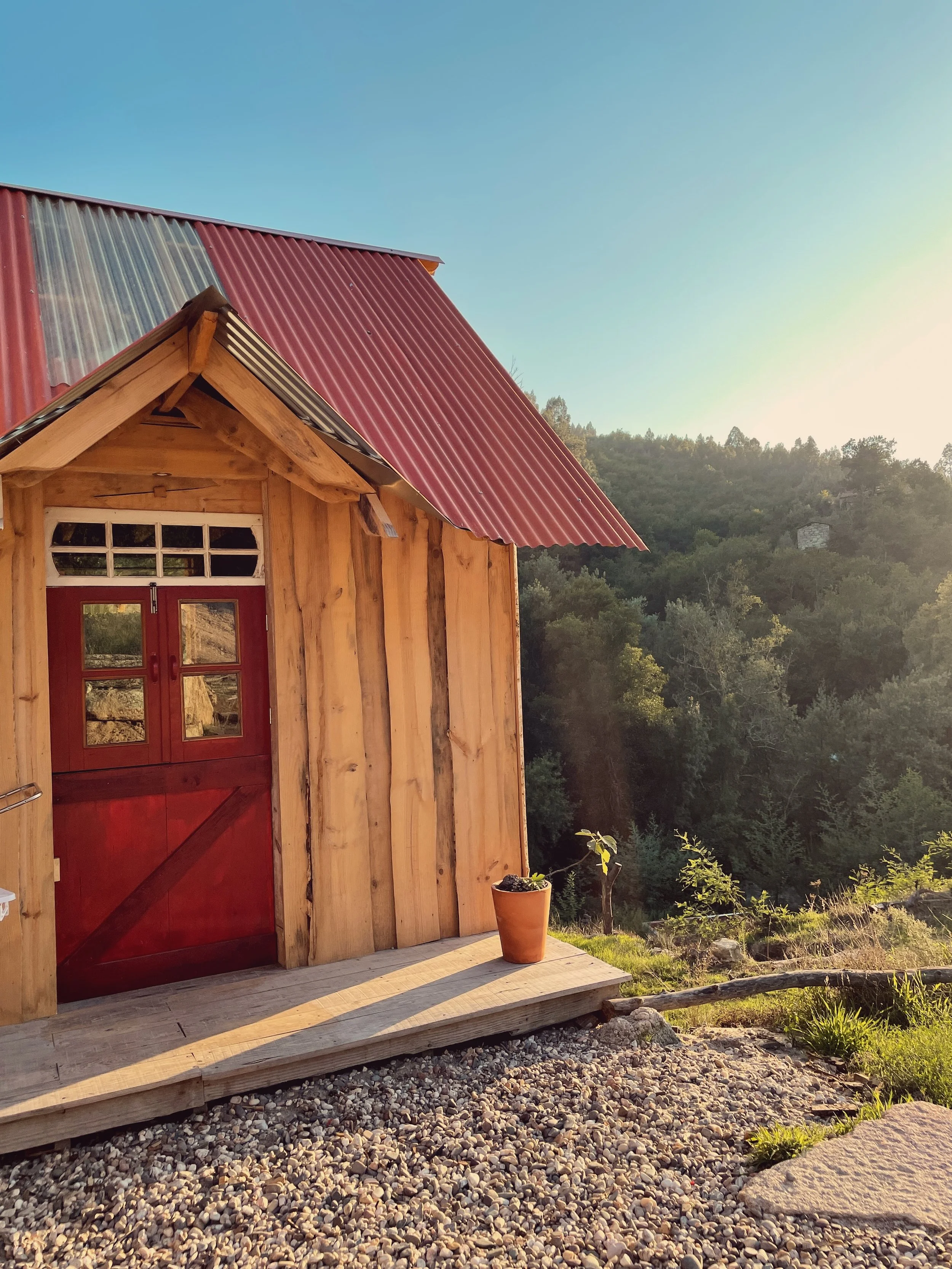 Cabinroom.jpg