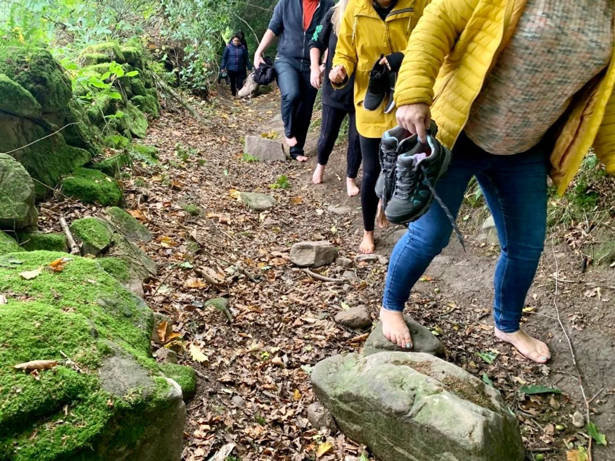 Forest Bathing.jpg