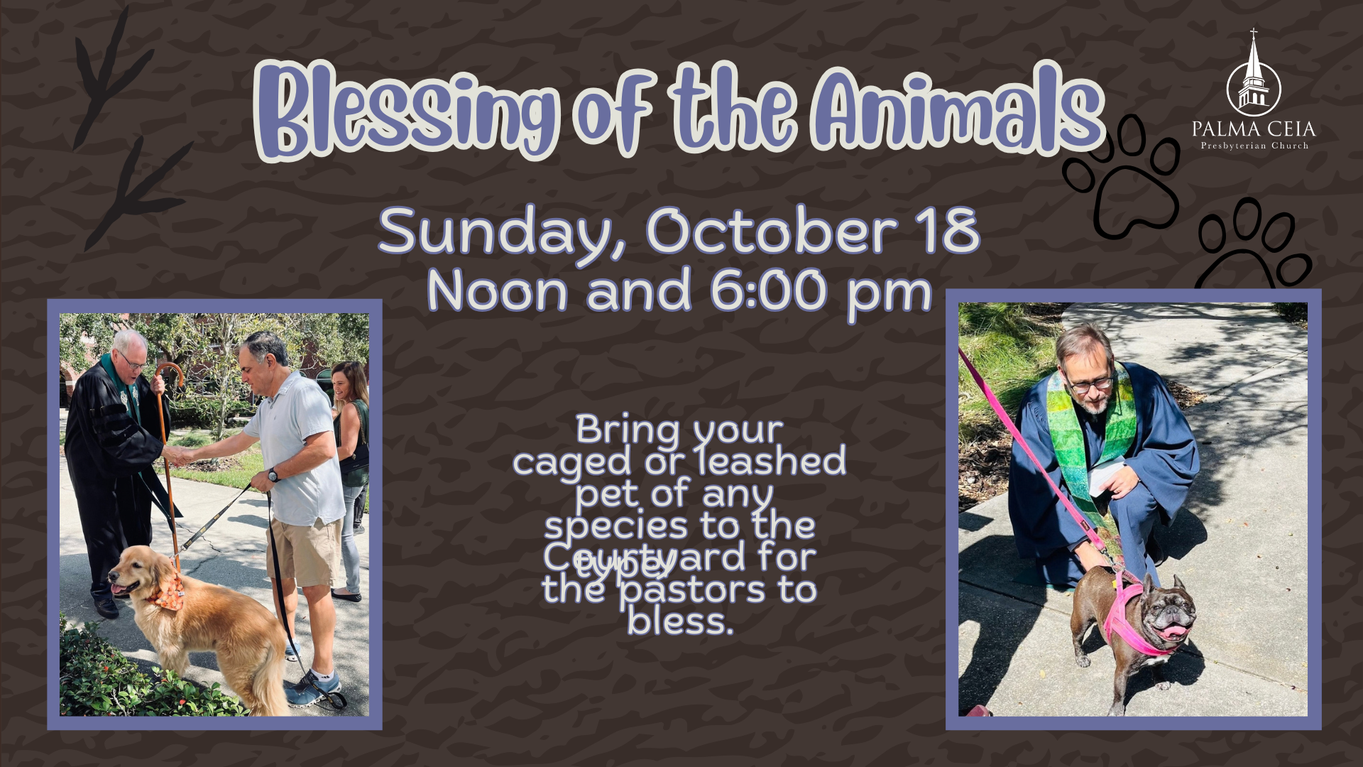 Blessing of the Animals 2026 16x9.png