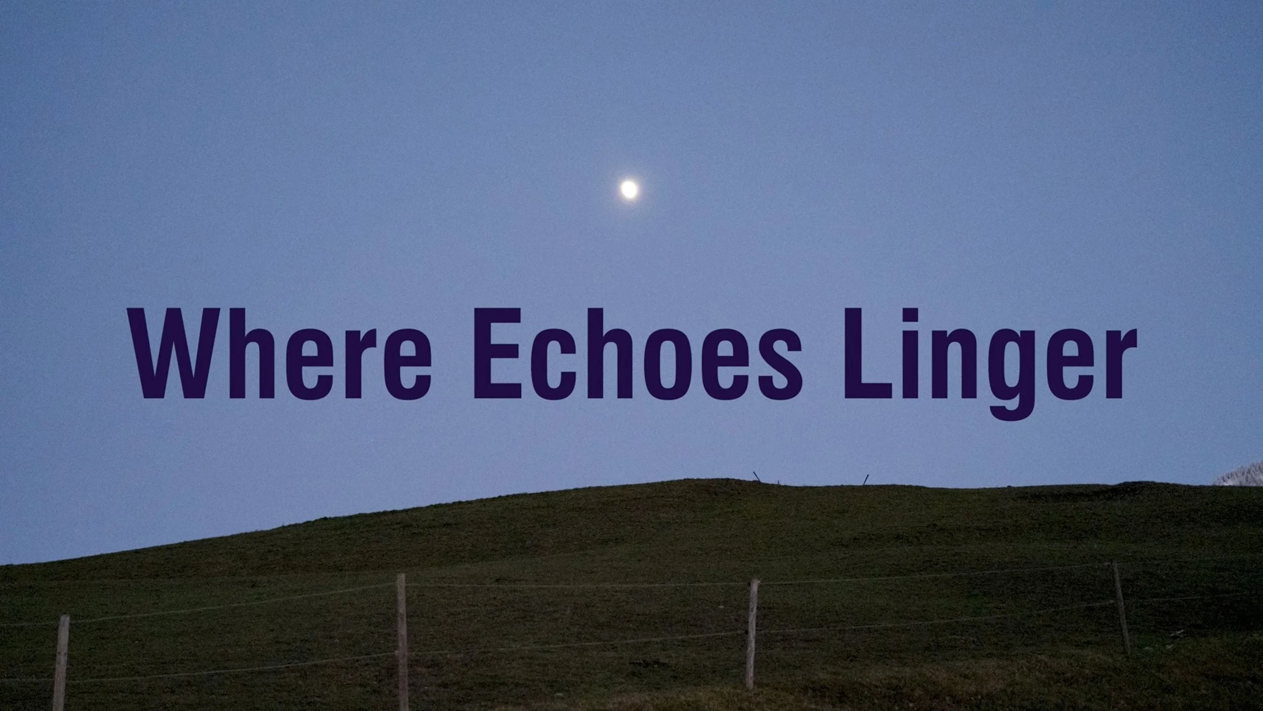 Where Echoes Linger