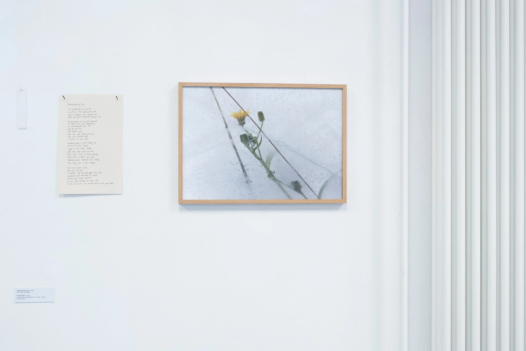 © Céline Meier