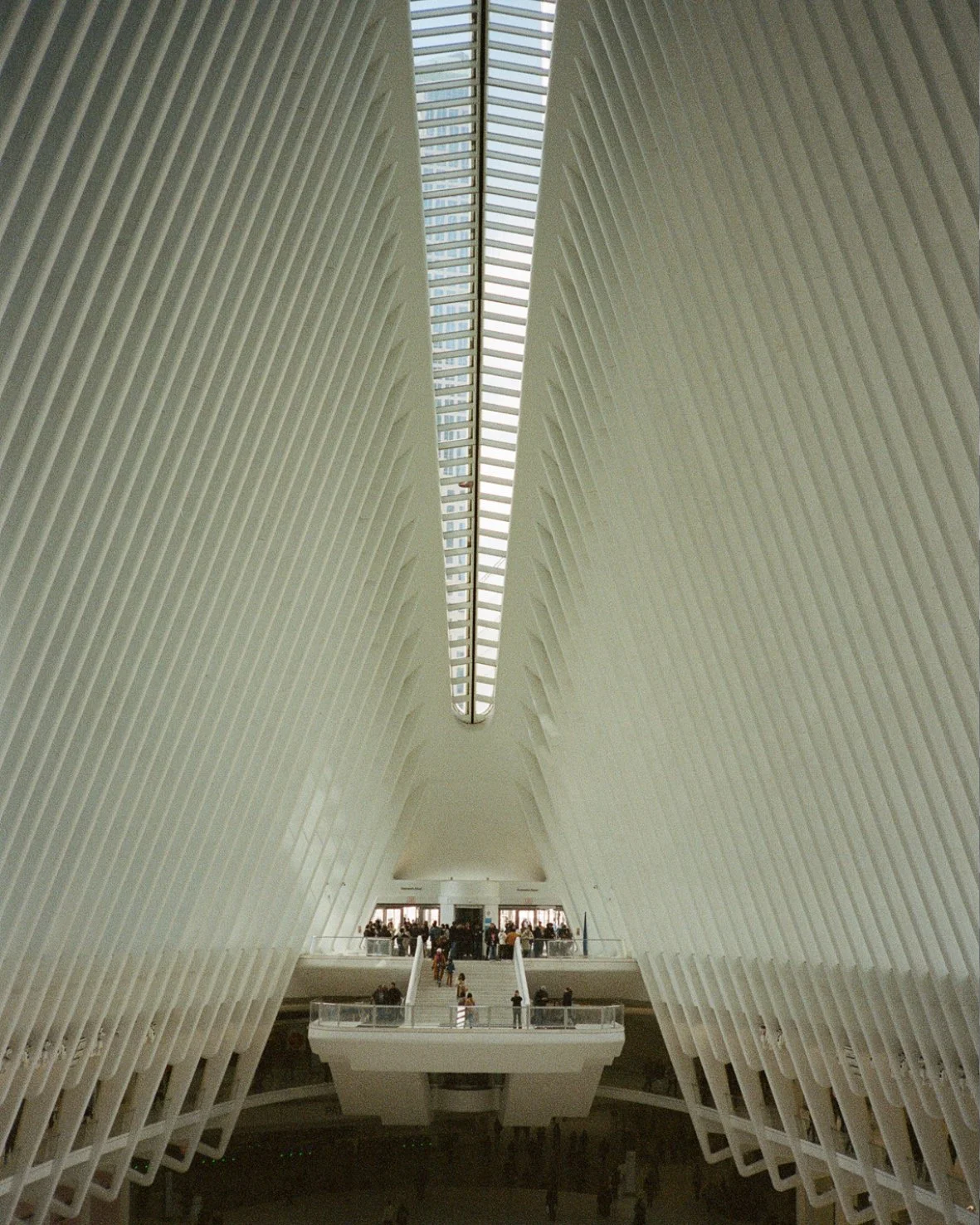 new york_photography4.jpg