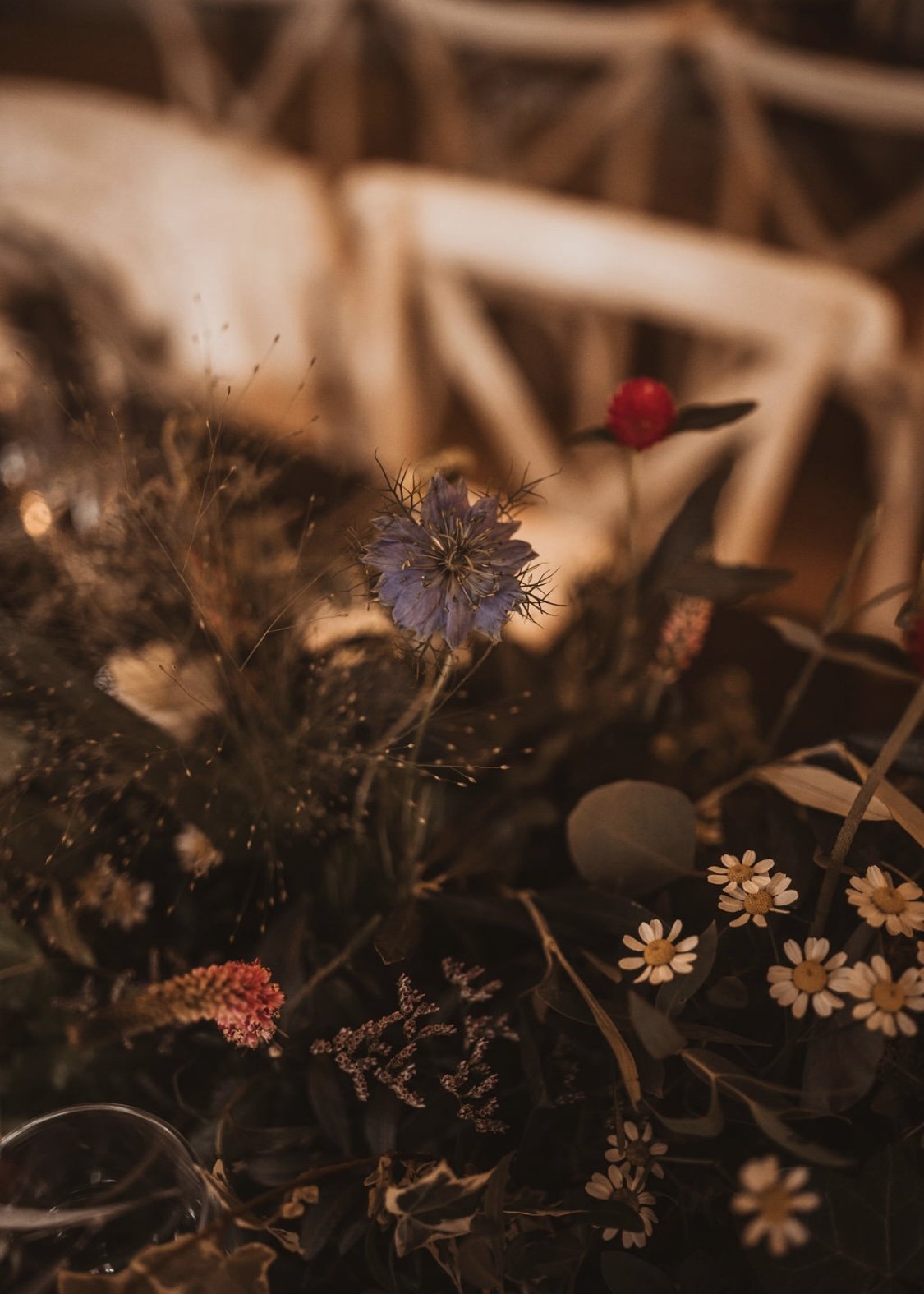 Captured by Jess Hazlehurst