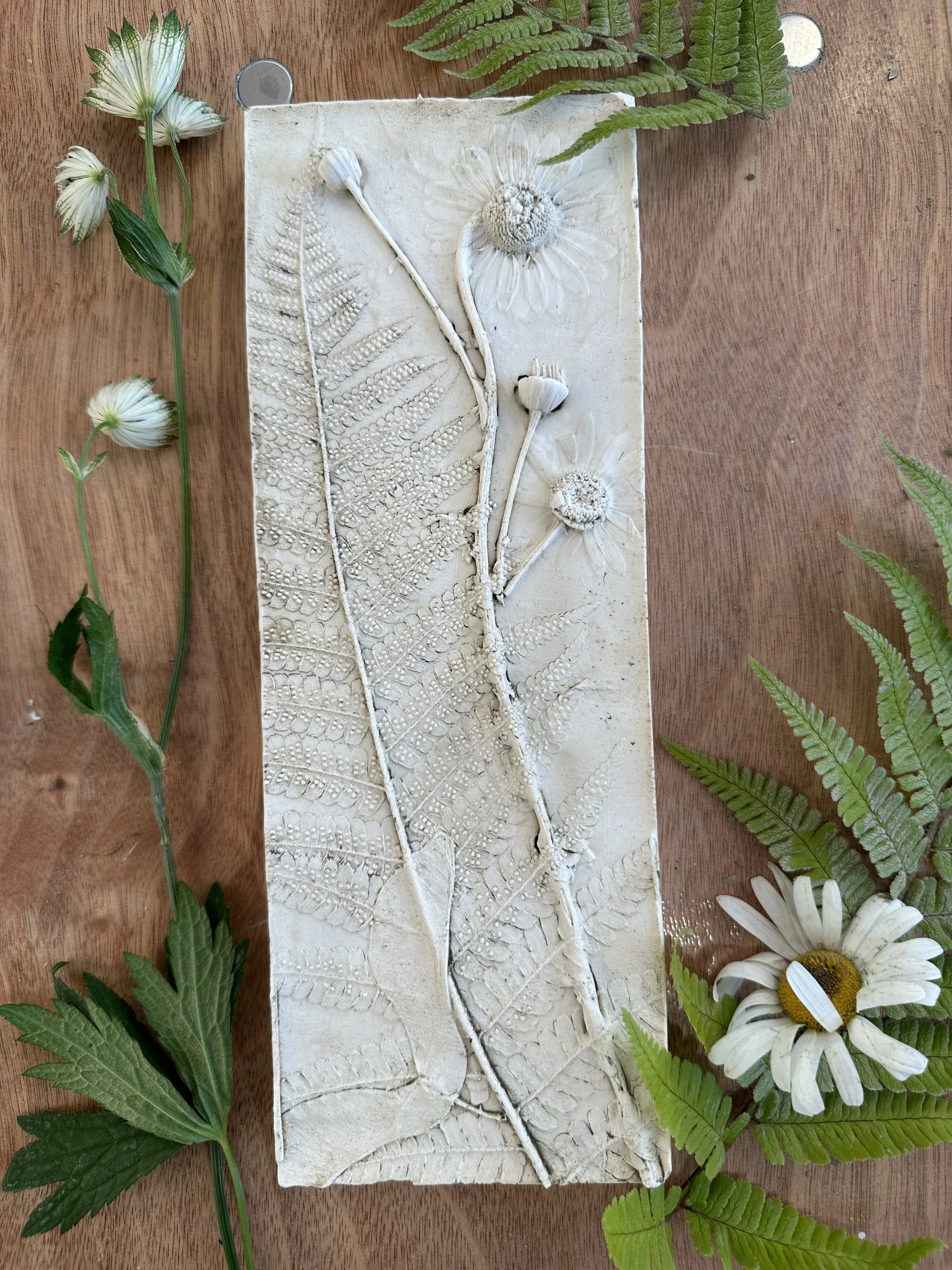 Plaster Casting with Lyndsay Fergus — Dukes of West Barns