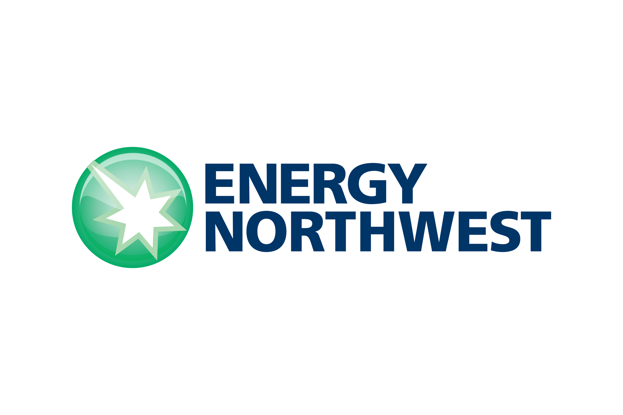 energy northwest logo.png