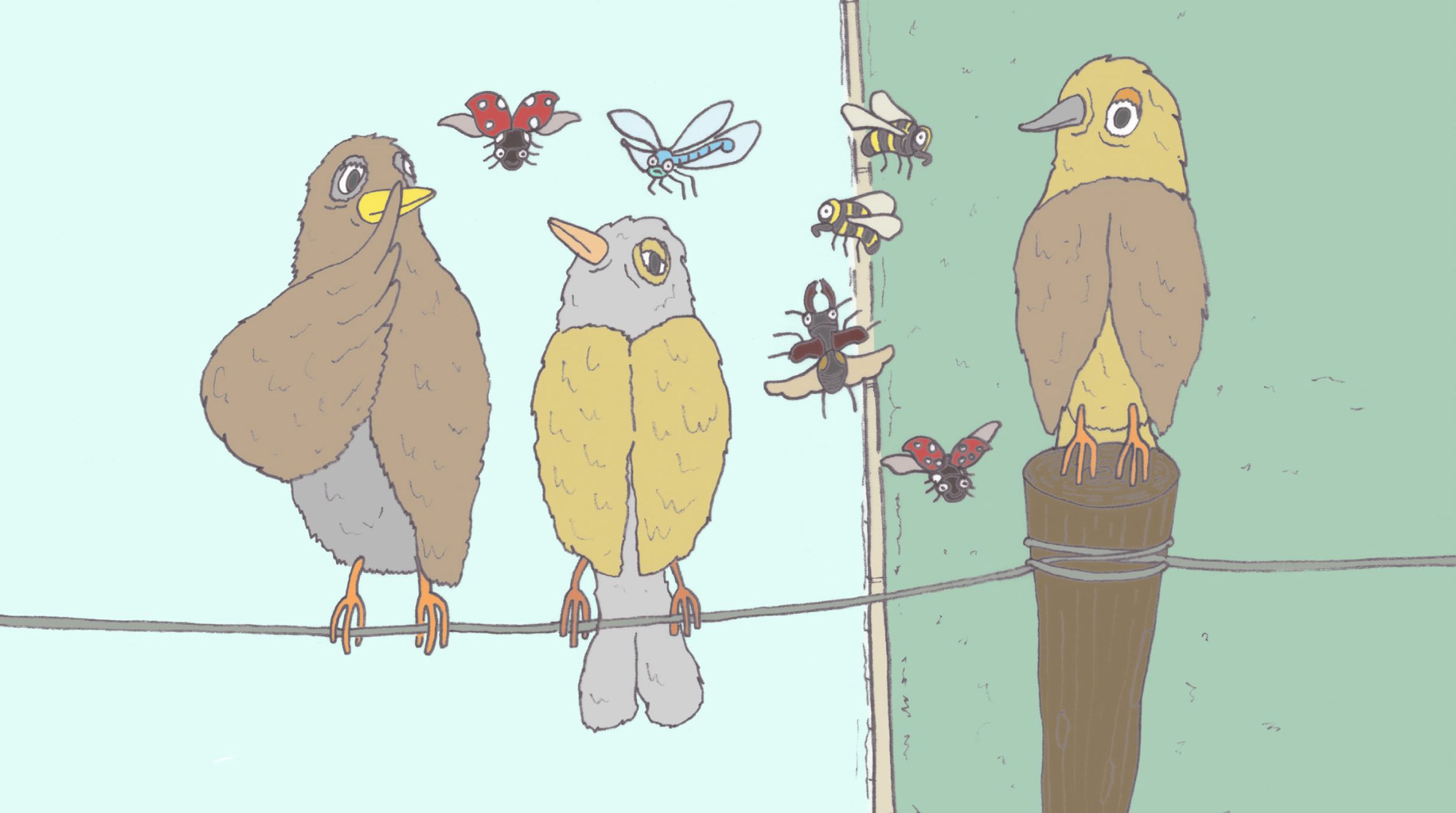 Birds 1.png