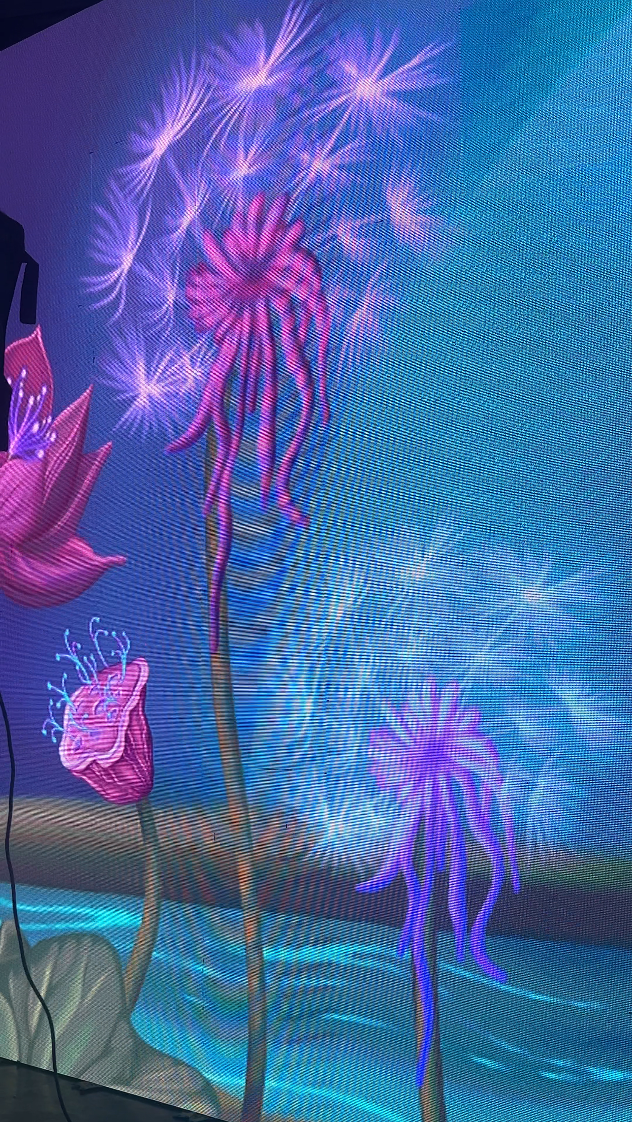 IMG_8471 2.PNG