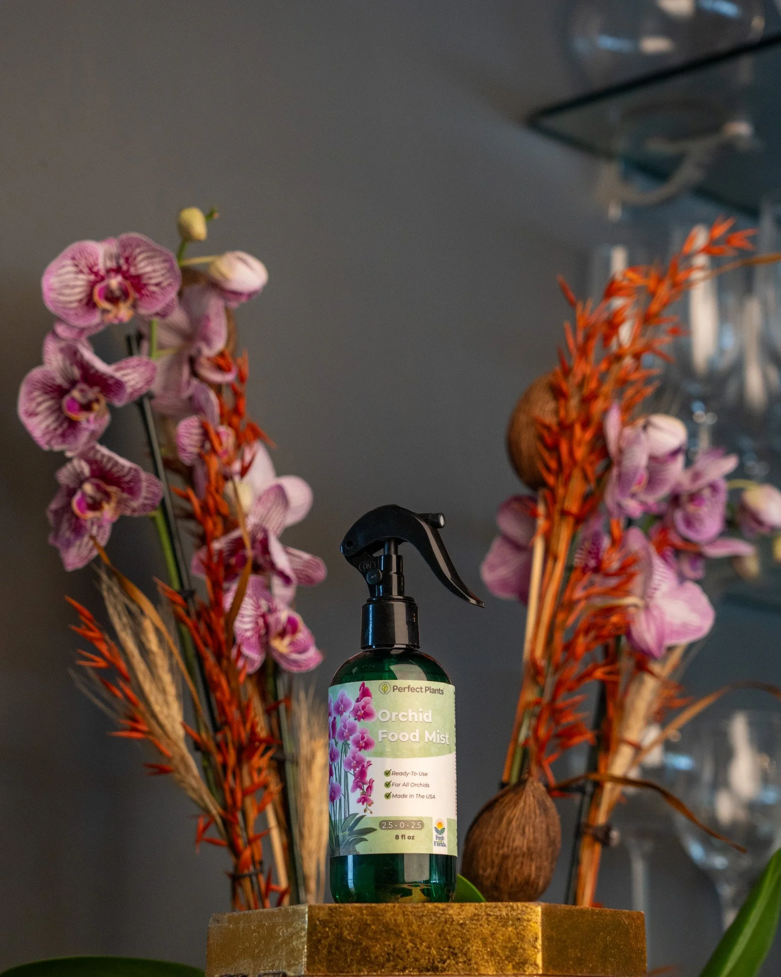 Orchid Food Mist.JPG