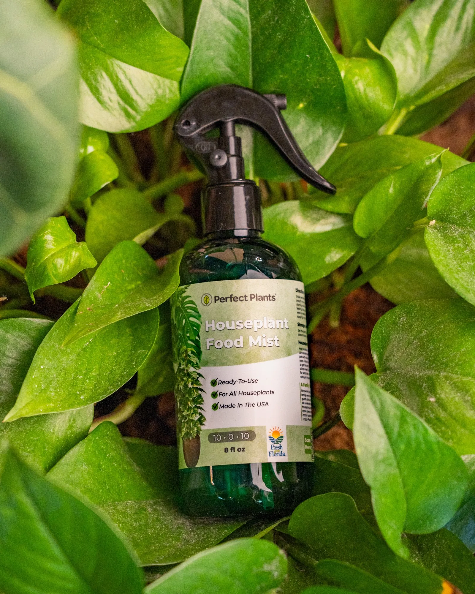 Houseplant Food Mist.JPG
