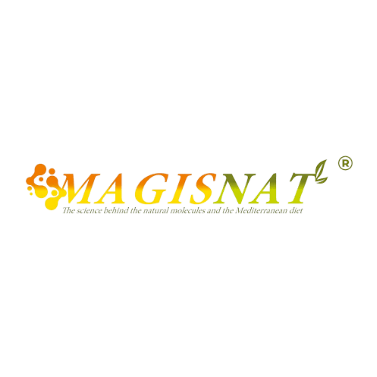 MAGISNAT 