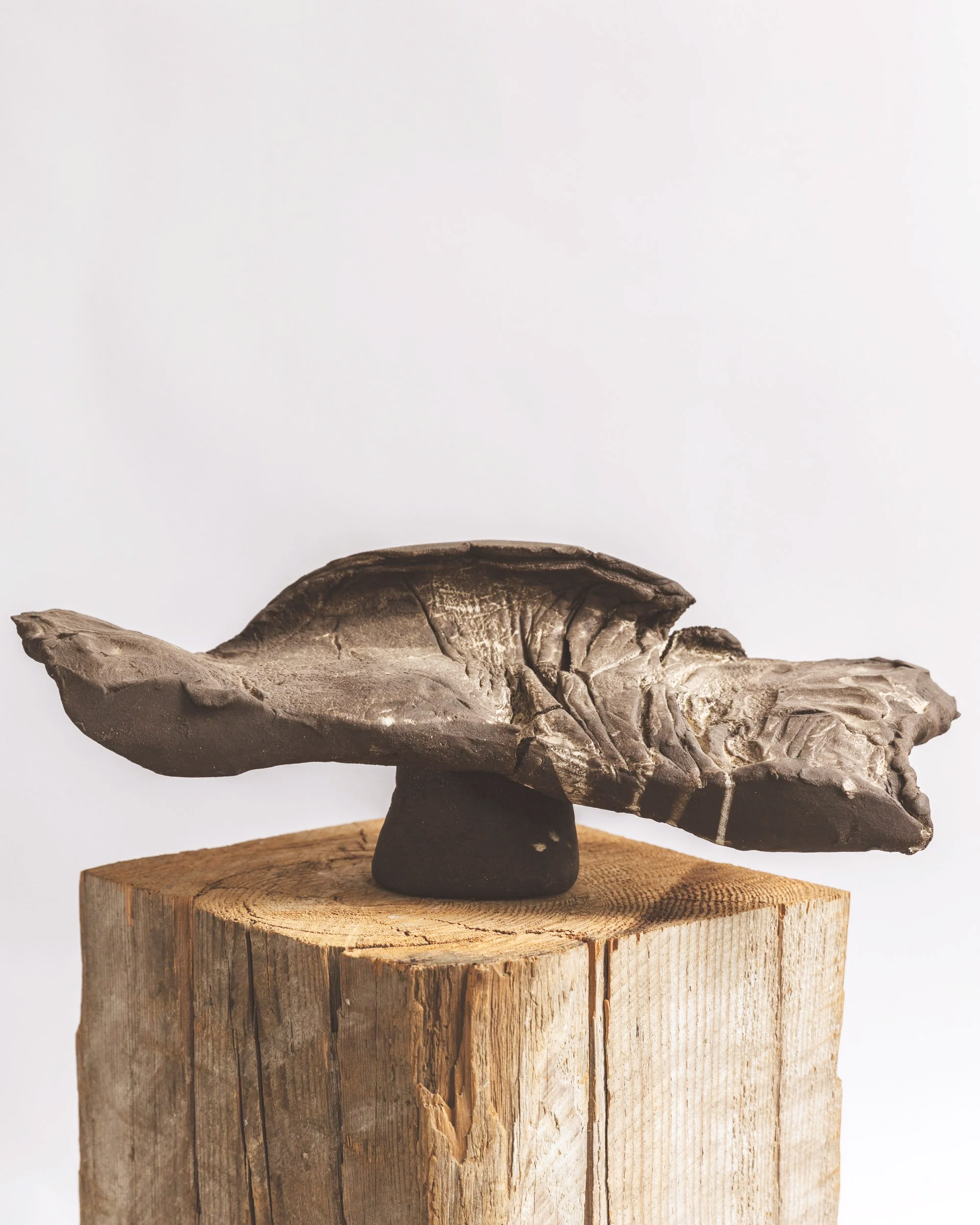 #23 Open Water, 2024, H 7" x W 19" x D 8", sculpture clay, terra sigillata. $5,500