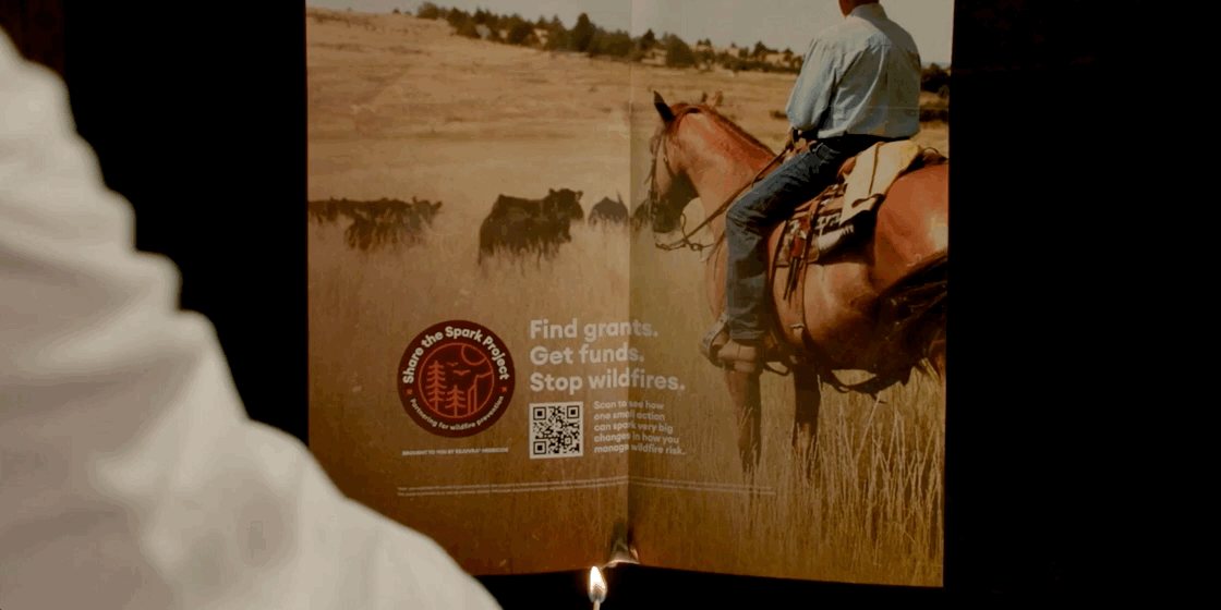 Share the Spark Campaign