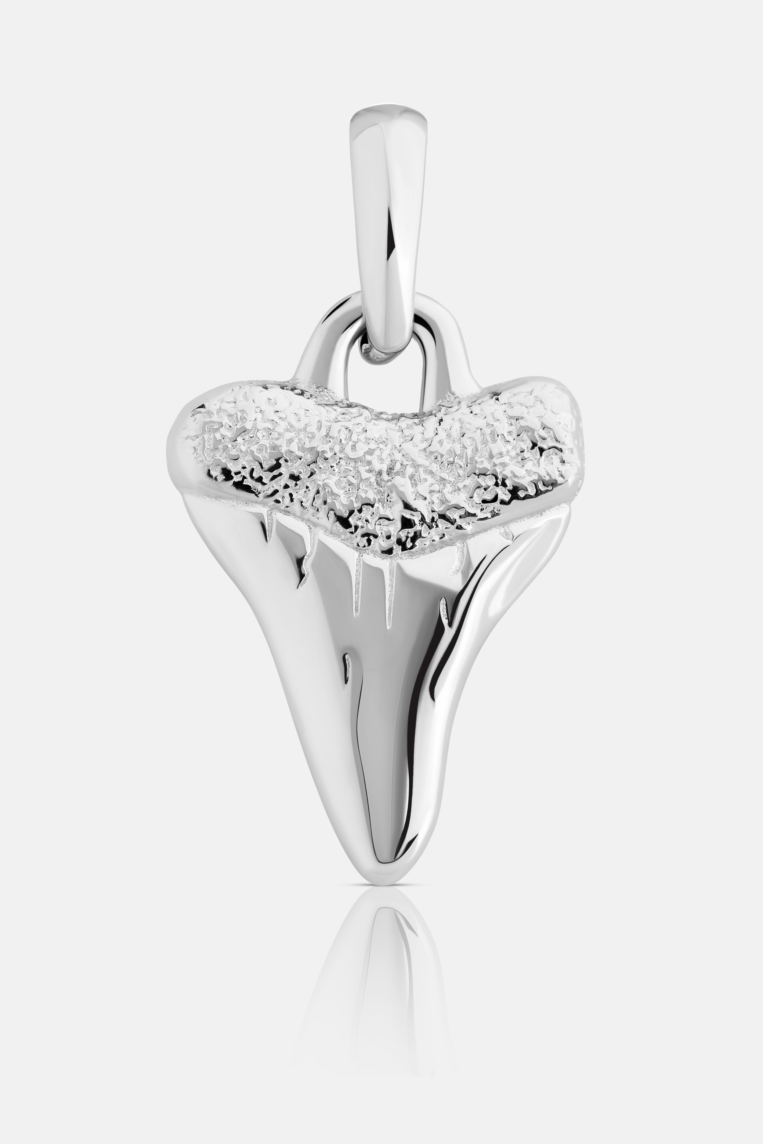 Shark Tooth Only copy.jpg