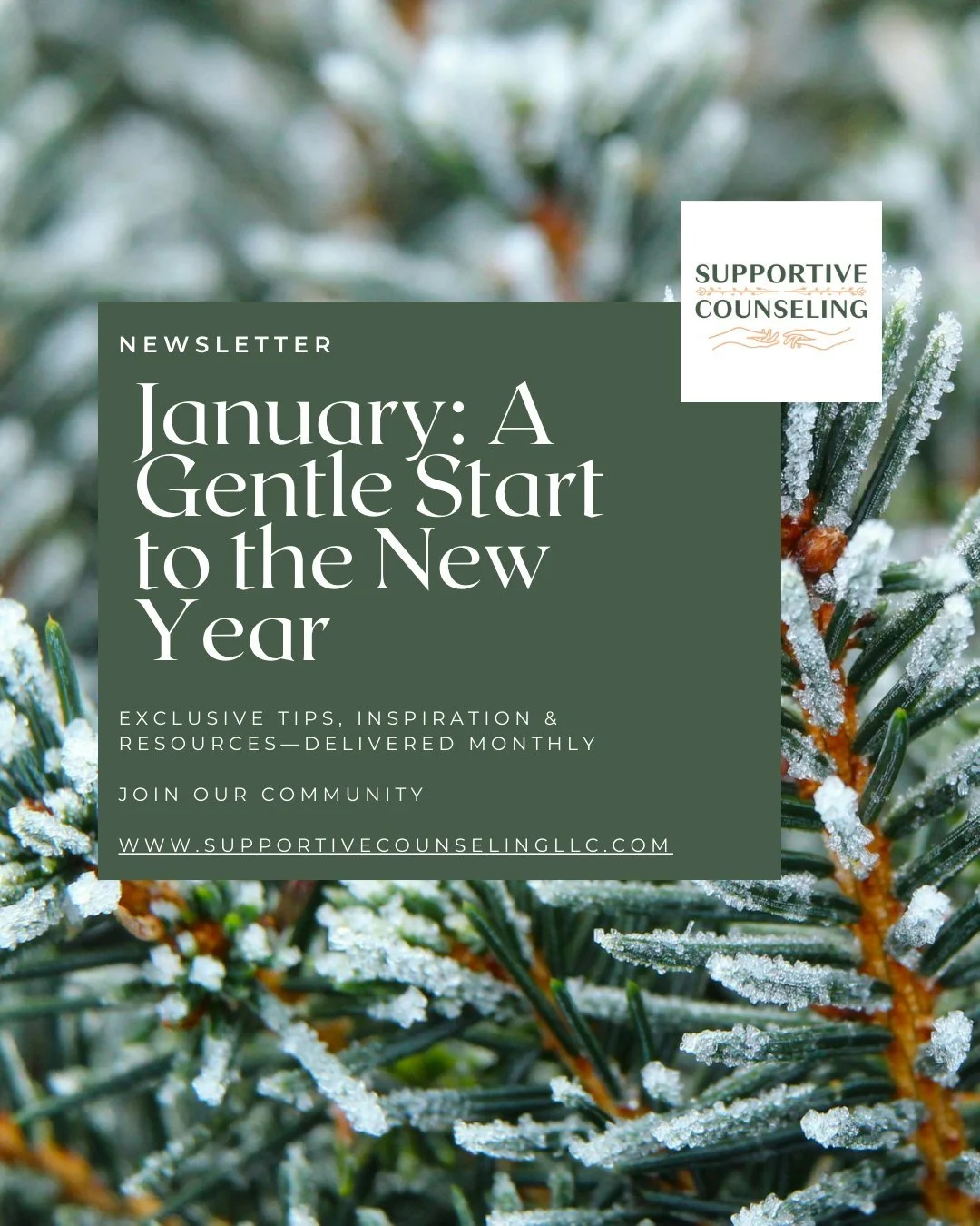 January doesn&rsquo;t have to be about fixing everything.

Our January newsletter invites you to begin the year gently&mdash;with intentions that fit your real life, research-backed guidance, and calming tools to support your mental wellness. 🌱

If 