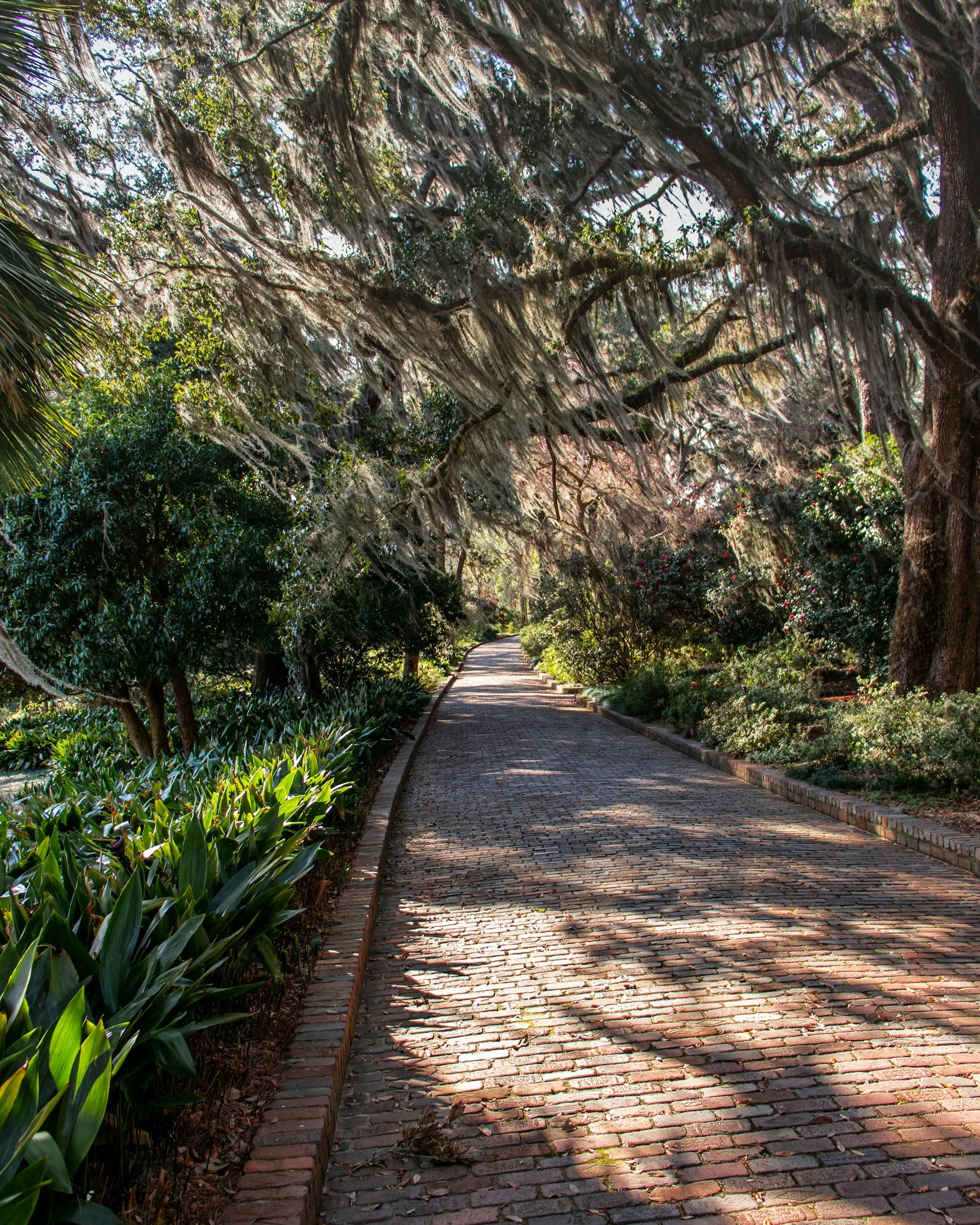 A cobblestone pathway winding through a lush, shaded garden with large trees and dense green bushes on either side.