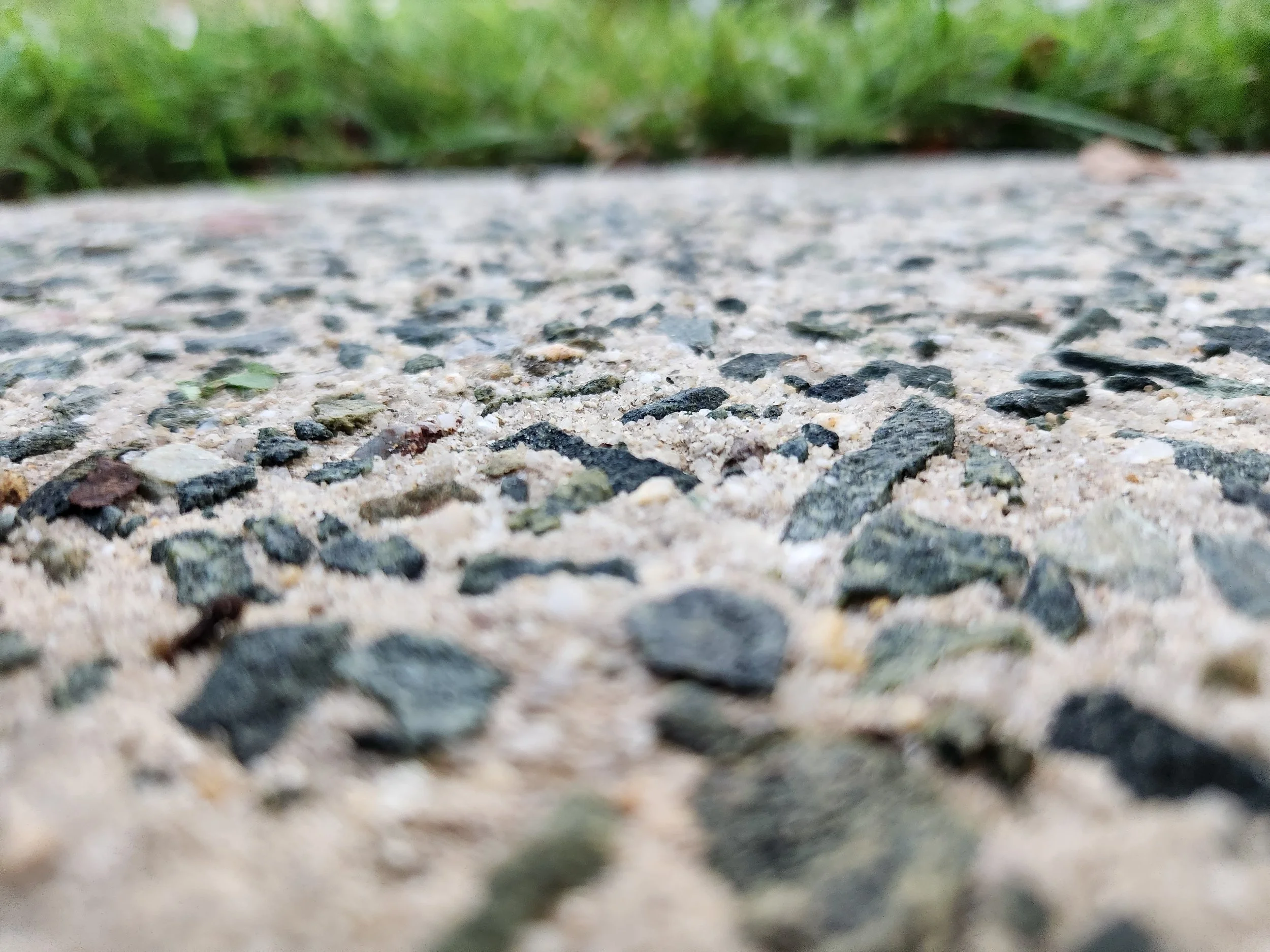 Pressure Washed Walkway