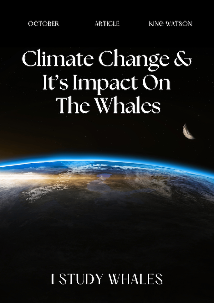 Climate Change & the Whales Article.png