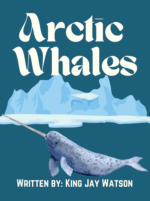 Arctic Whales by King Watson.png