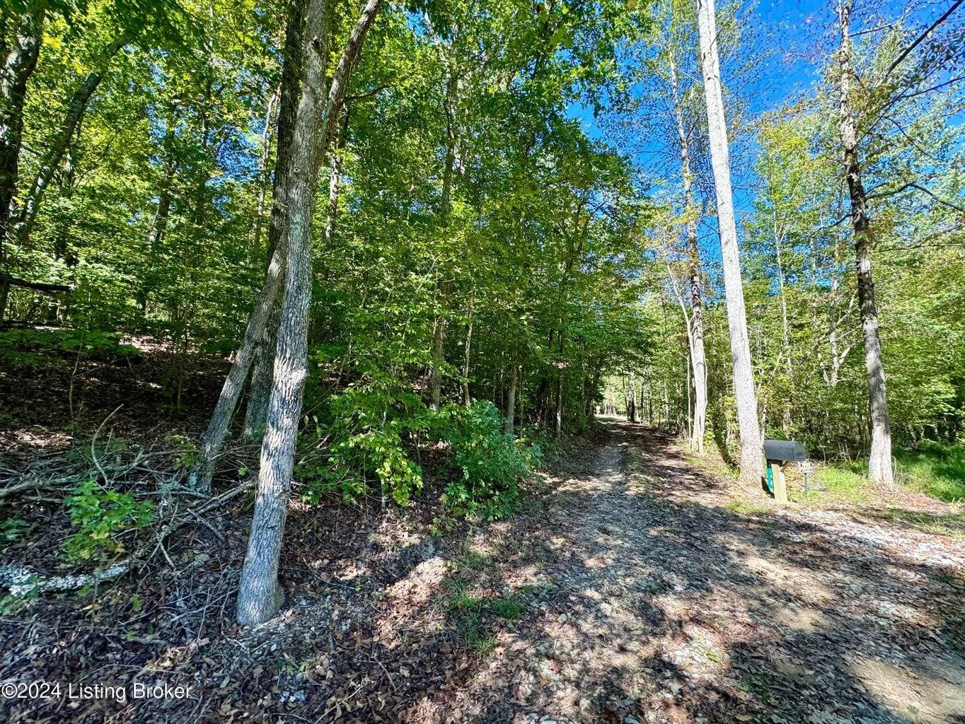 LAND FOR SALE 📣

📍2346 Sulphur Lick Road
New Hope, KY

🌱 26.28 acre lot

$182,900

Looking for the perfect place to build your dream home with plenty of mature trees? Or looking for the perfect piece of hunting ground? This could be the one! Tract