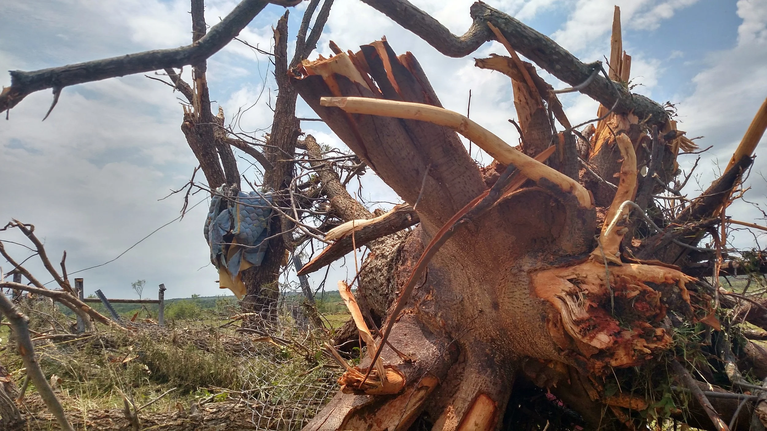 Tornado Damage.jpg
